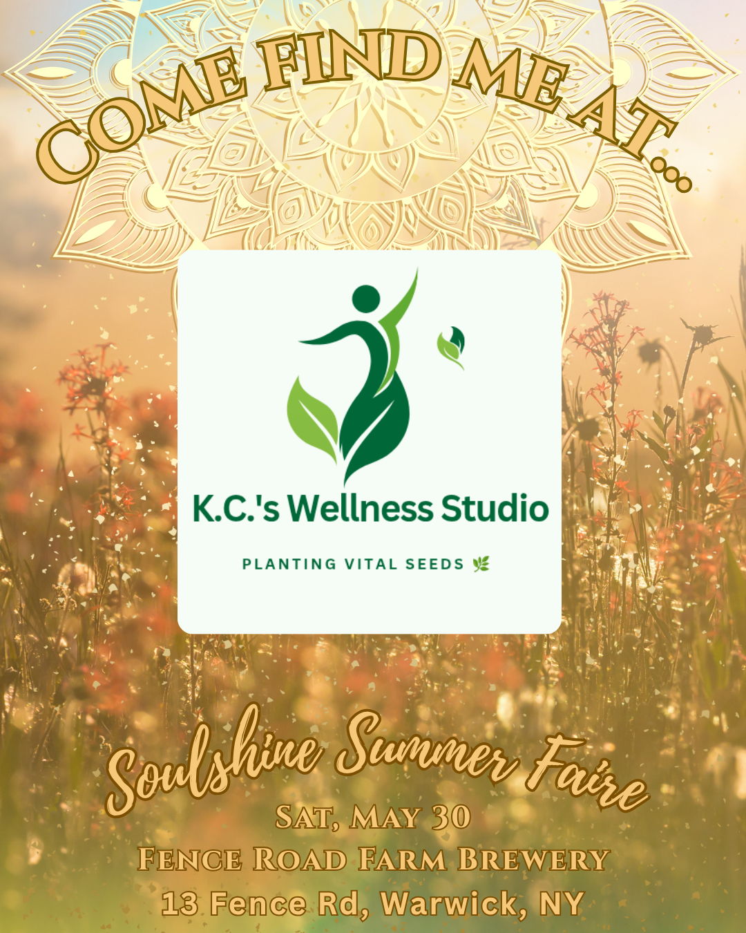 Soulshine Summer Faire vendor highlights - K.C's Wellness studio.png