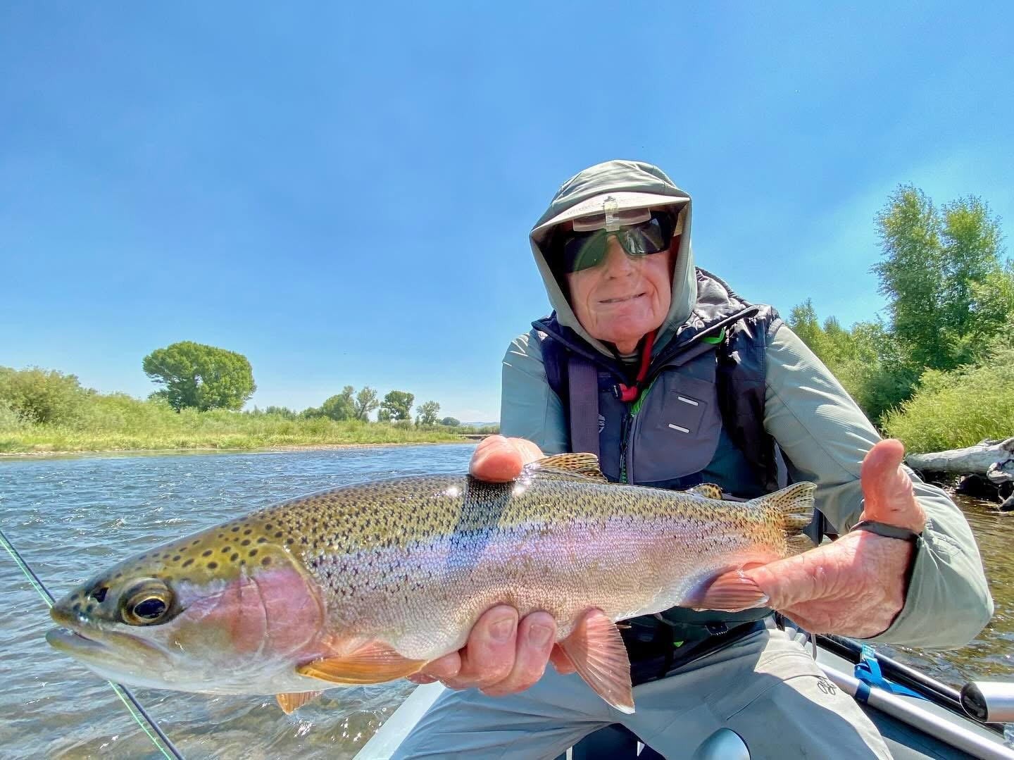 Older man in outdoor gear holding a large rainbow trout in a river with trees and blue sky in the background.