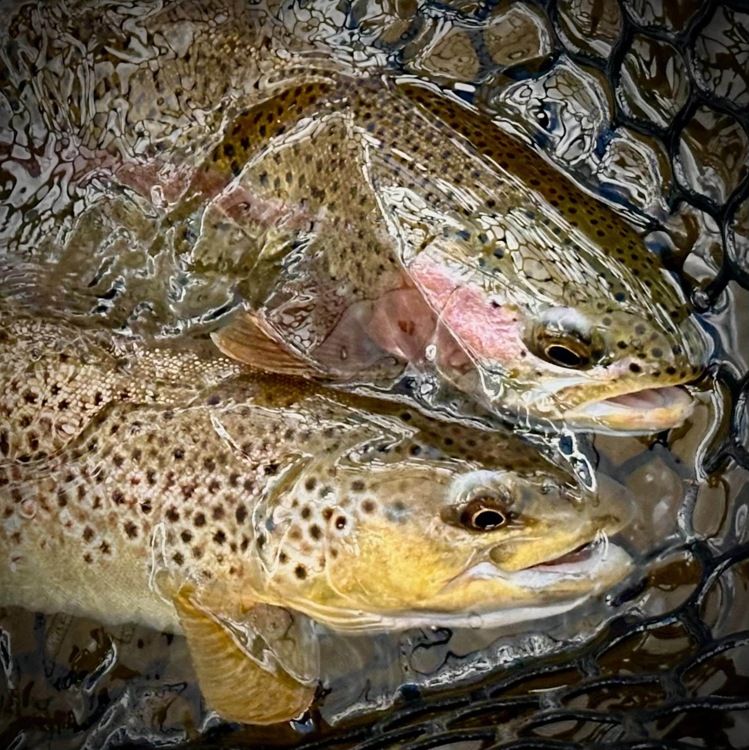 20240829_Michaelis_3950 (1).jpg