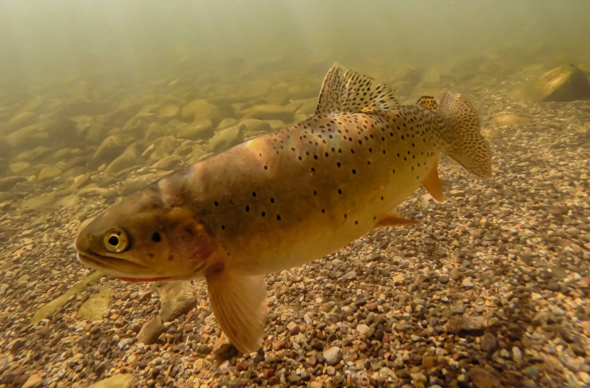 20140302_Michaelis_10192_HDR (1).jpg