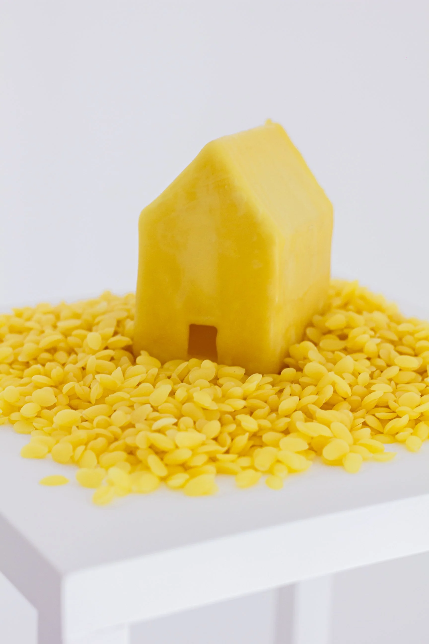 Camila Salame, "Maison pour rêver", 2013