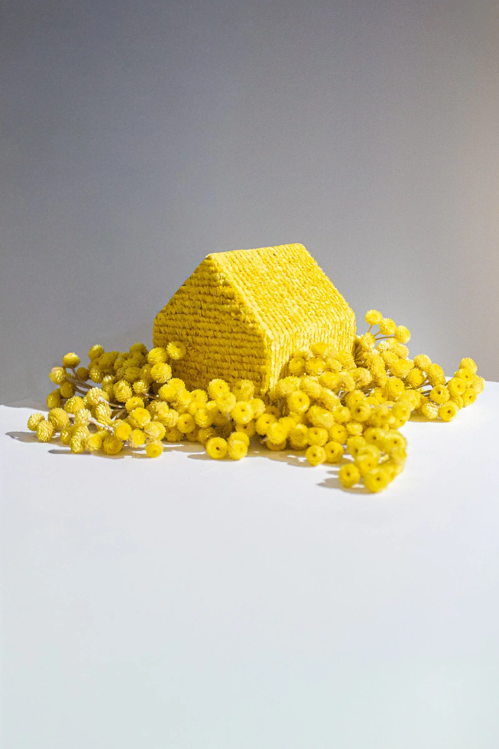 2025 - "Dans les creux de la maison, des voix encore ..."