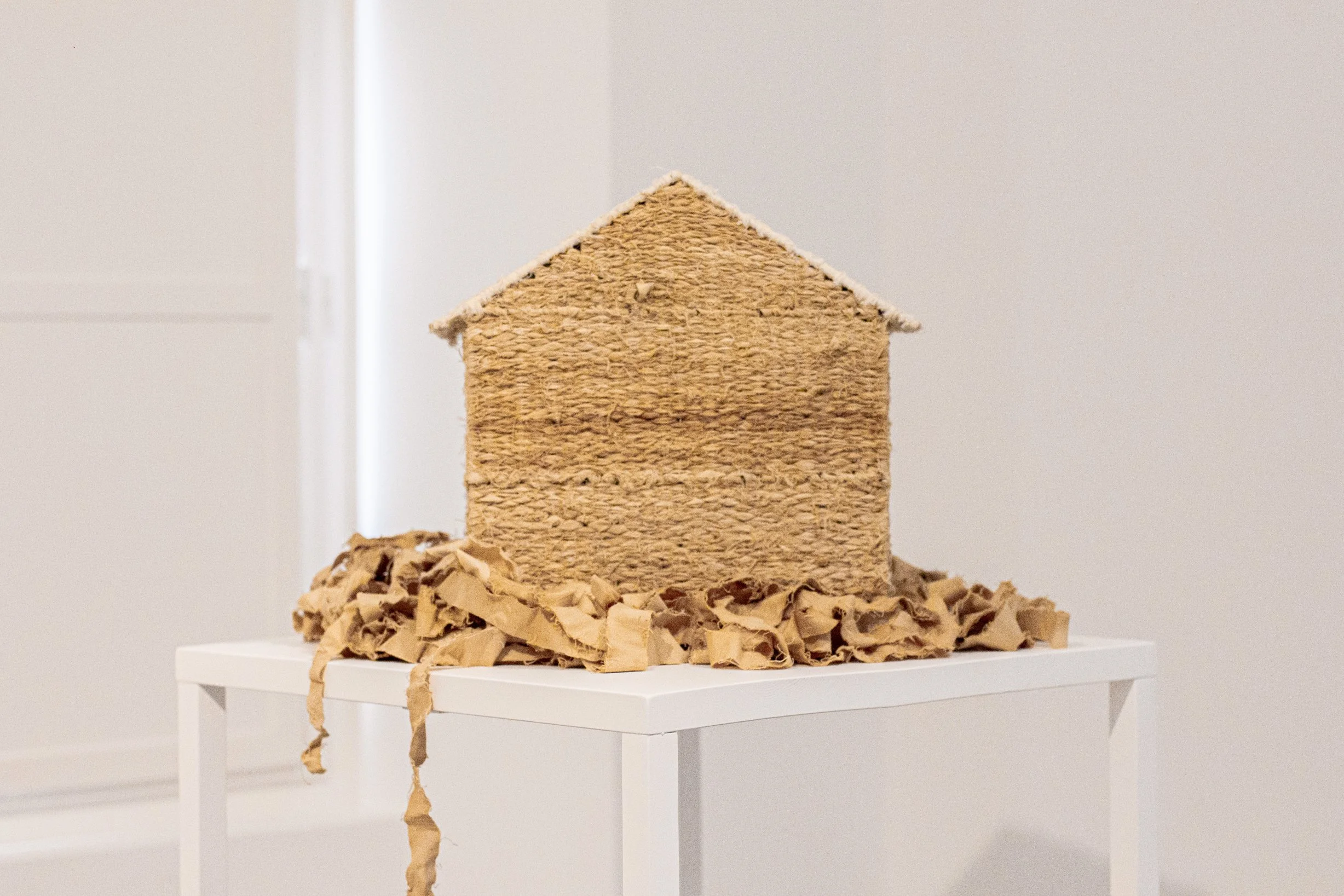 Camila Salame, Paciente, 2013