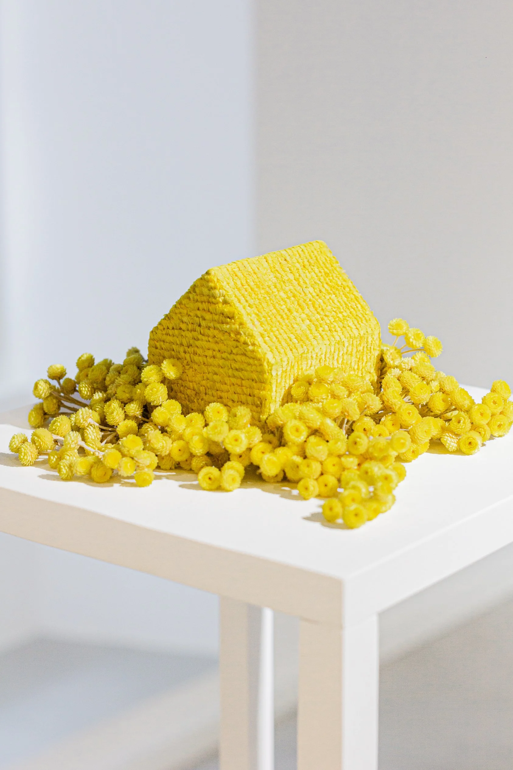 Camila Salame, "Insulaire", 2025