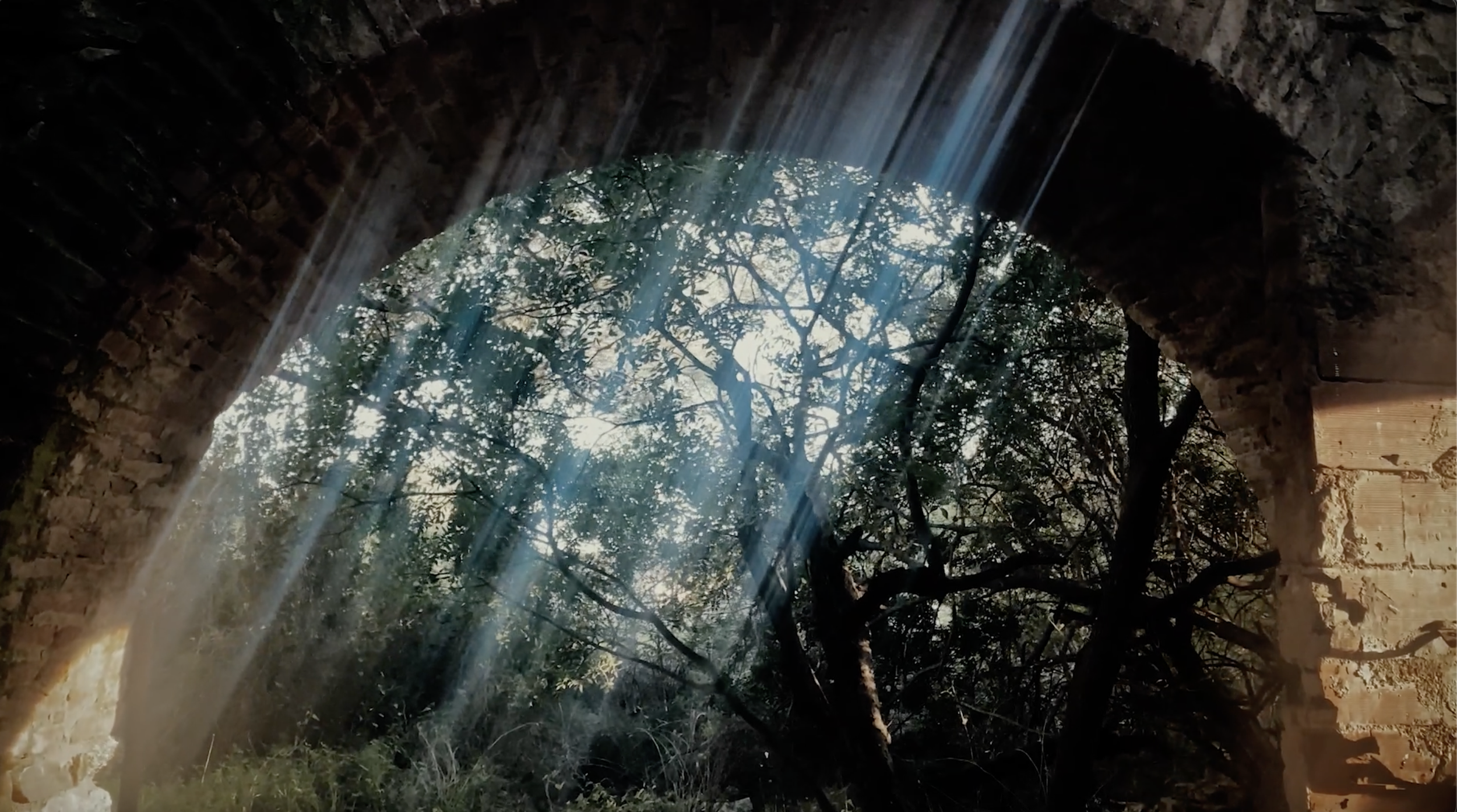 Territorii vox (2023)