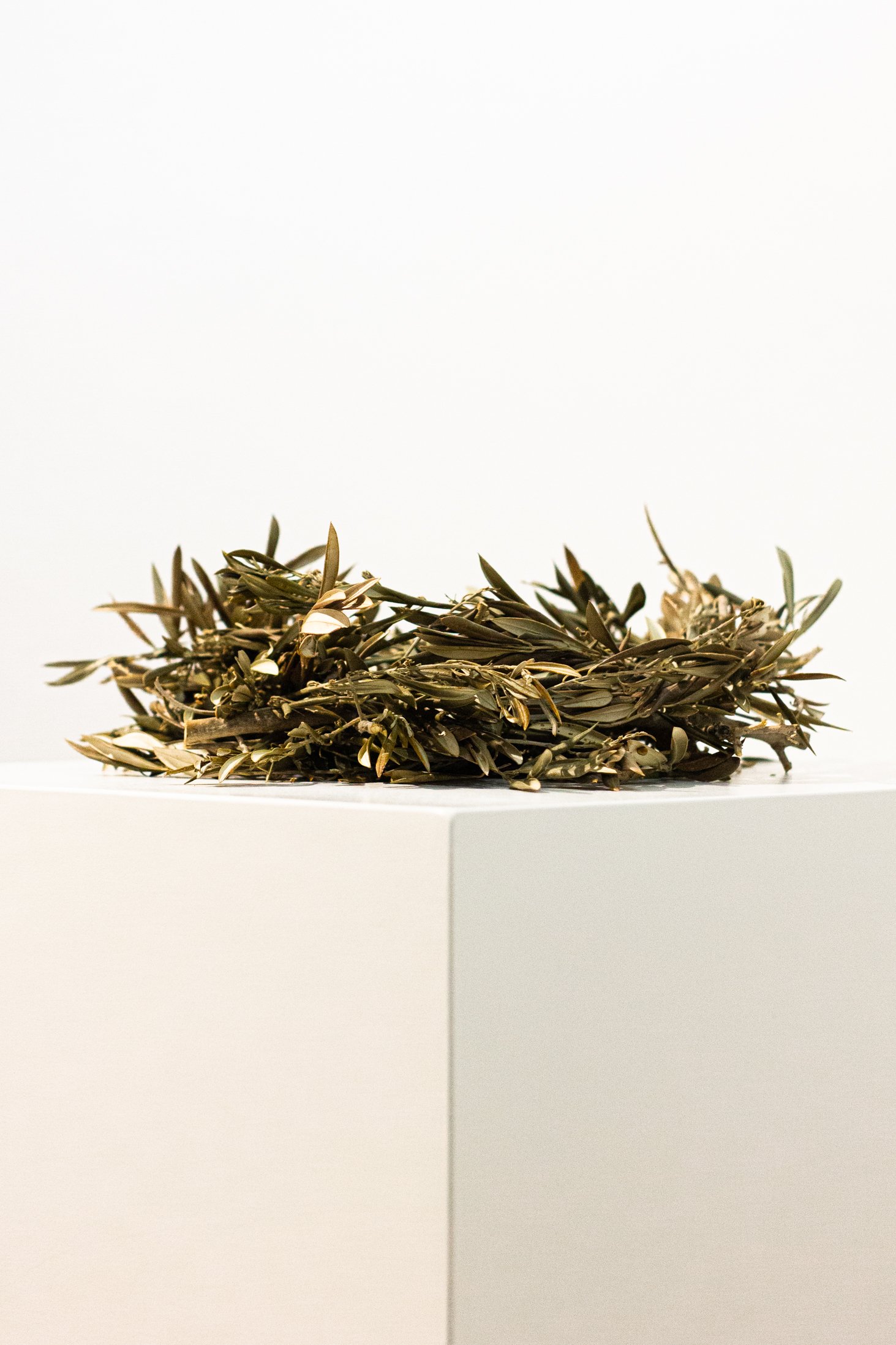 Camila Salame, "Origine 2", 2019-2025