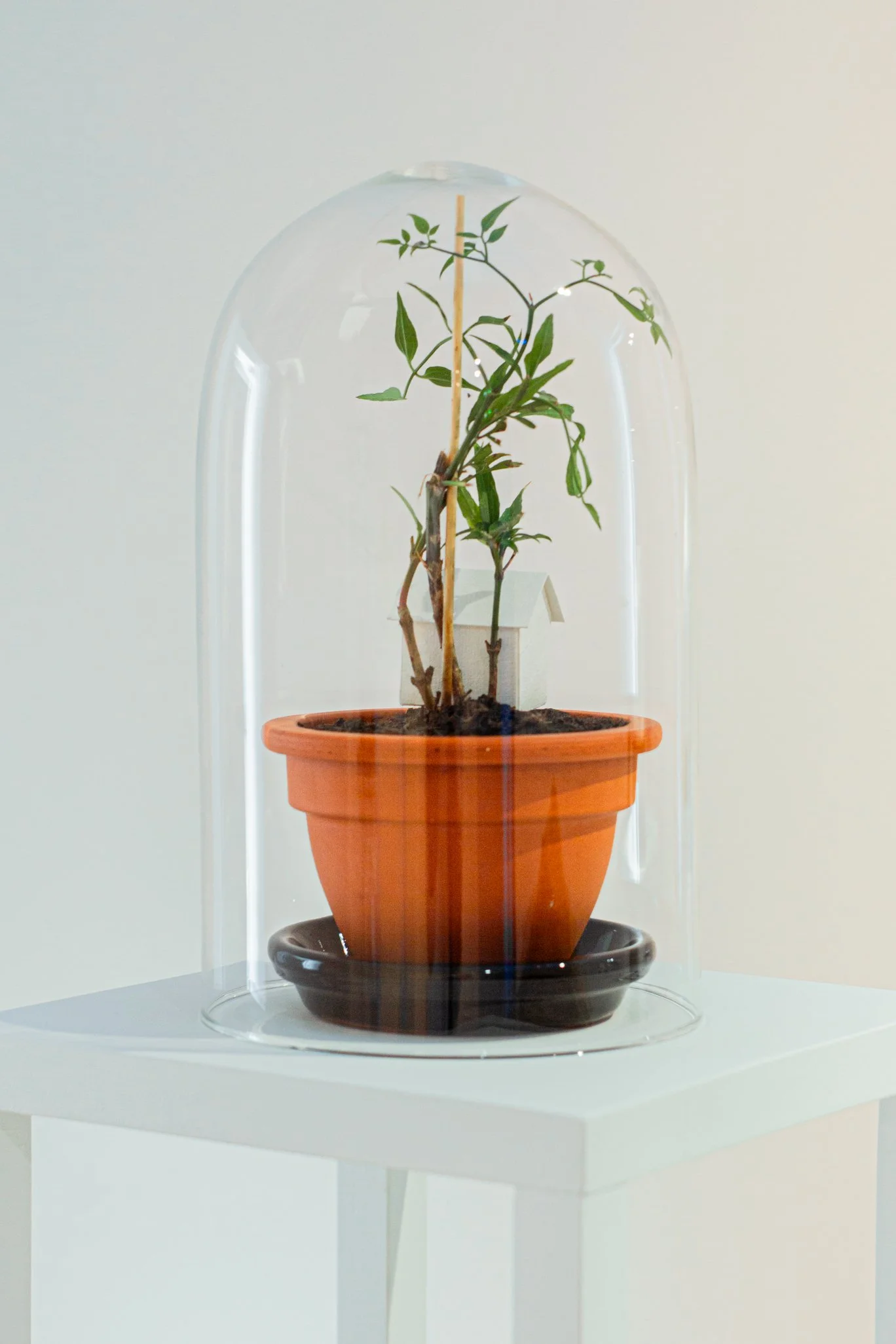 Camila Salame, "Malgré le temps", 2013-2025