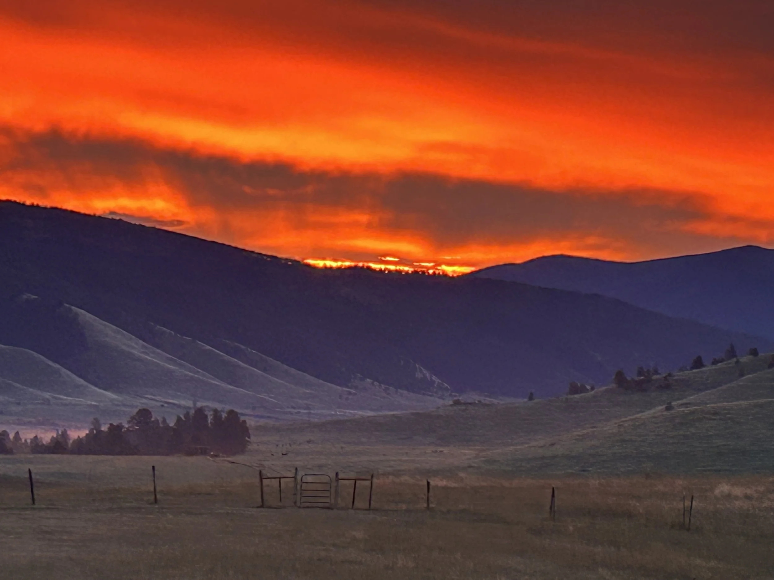 Sunset over rolling hills with orange and red sky, silhouetted trees and fence in foreground