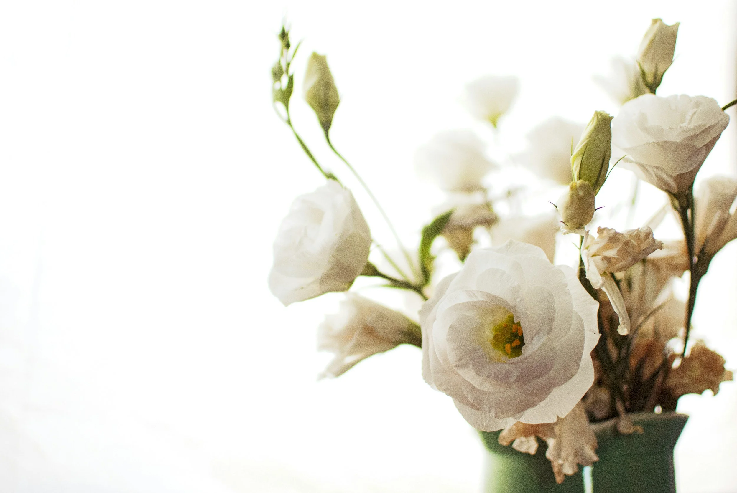 A close-up of white lisianthus flowers in a green vase, with some buds and blossoms against a bright, light background.