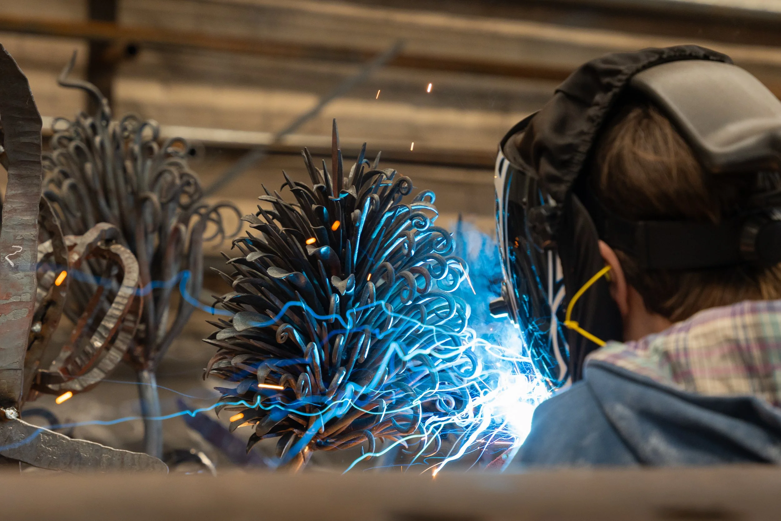 Plasma Weld Salix Fe Sculpture.jpg