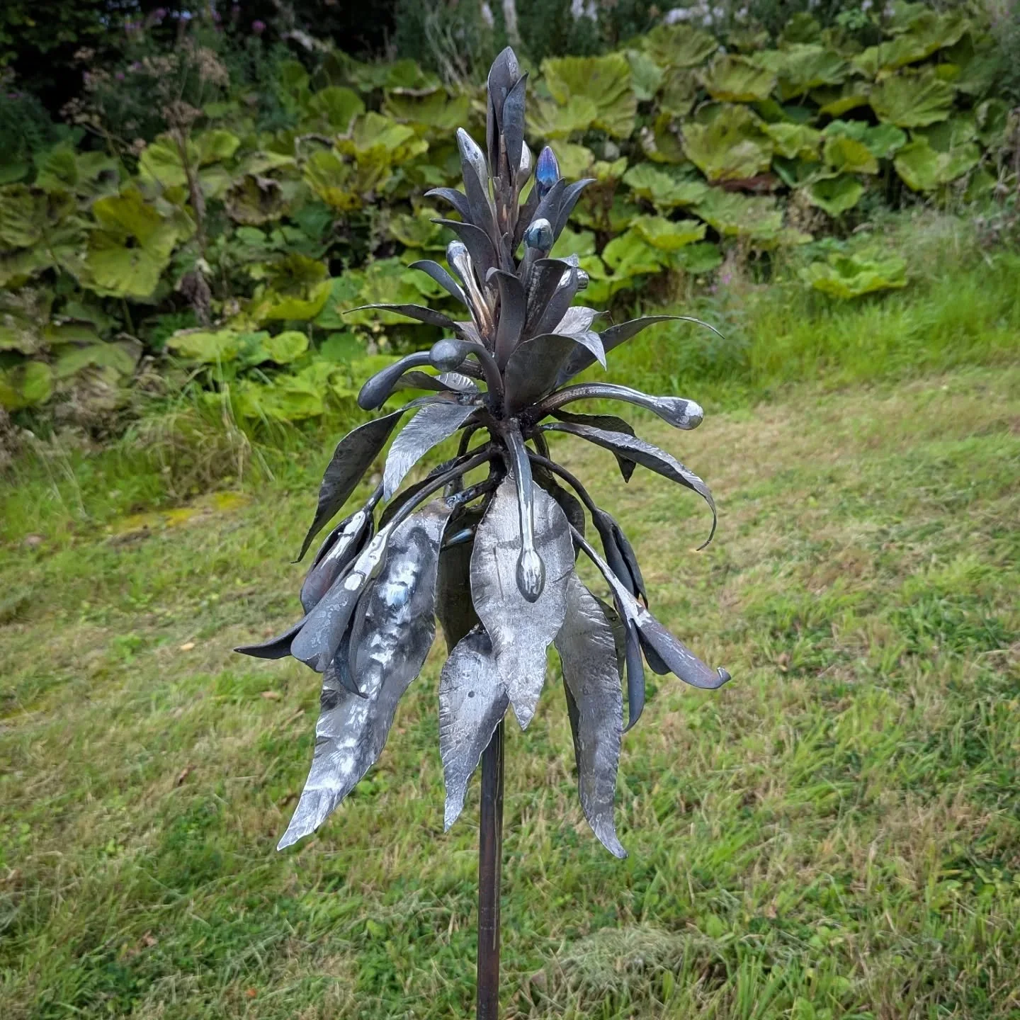 Plantain Lily 

Fun to use explore using a swage for these bud forms. Next time I would like to get a much better finish just with hammering to keep the process in the final outcome. 
Nice to get back to plasma cutting too. Lots of potential!
#metalw