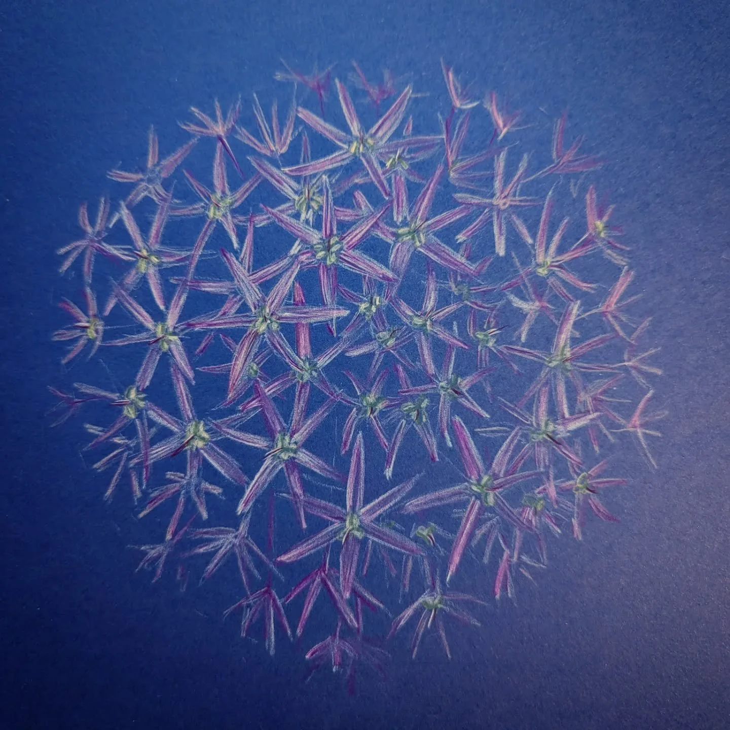 Research Sketches for the next commission; Giant Allium

🌱

#metalwork #botanicalillustration #gardenscultpure #sculpture