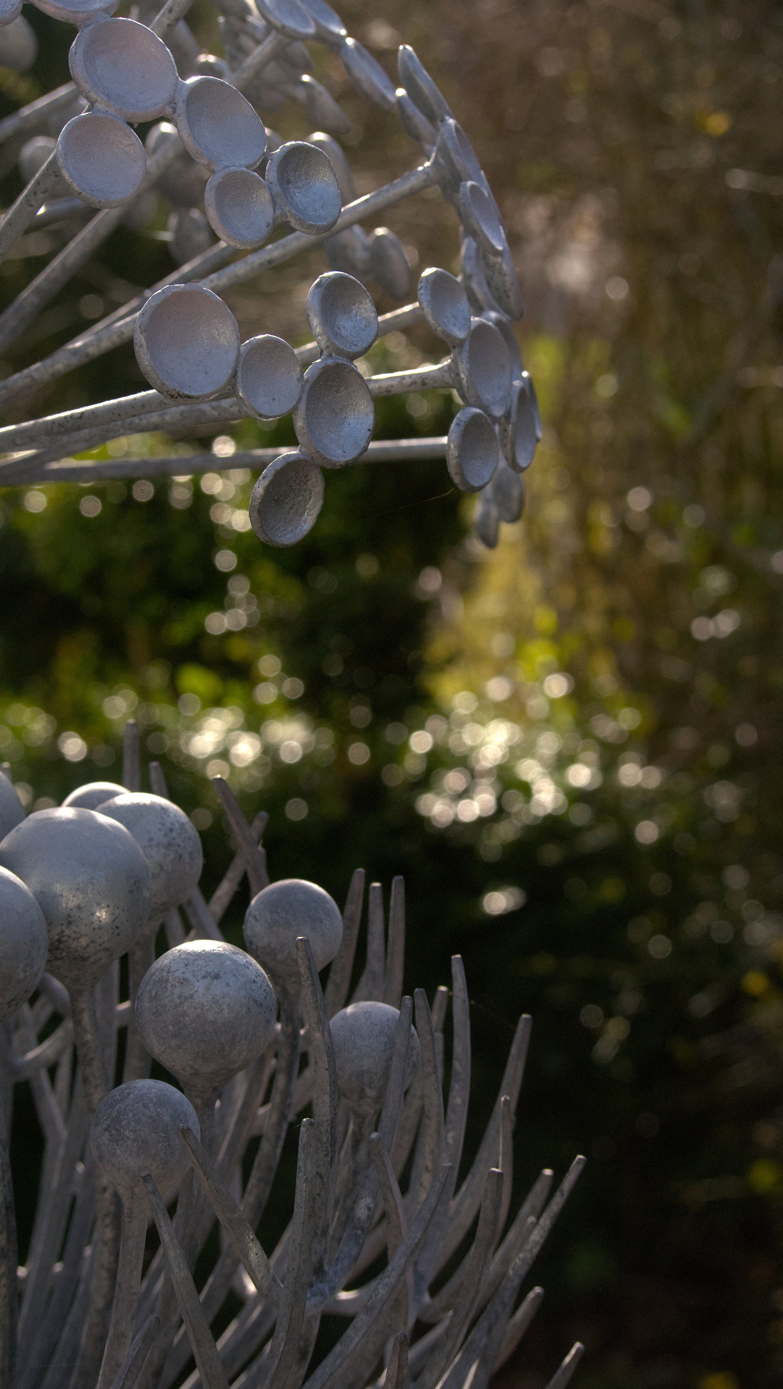 MS Bloosm and Spikey.jpg