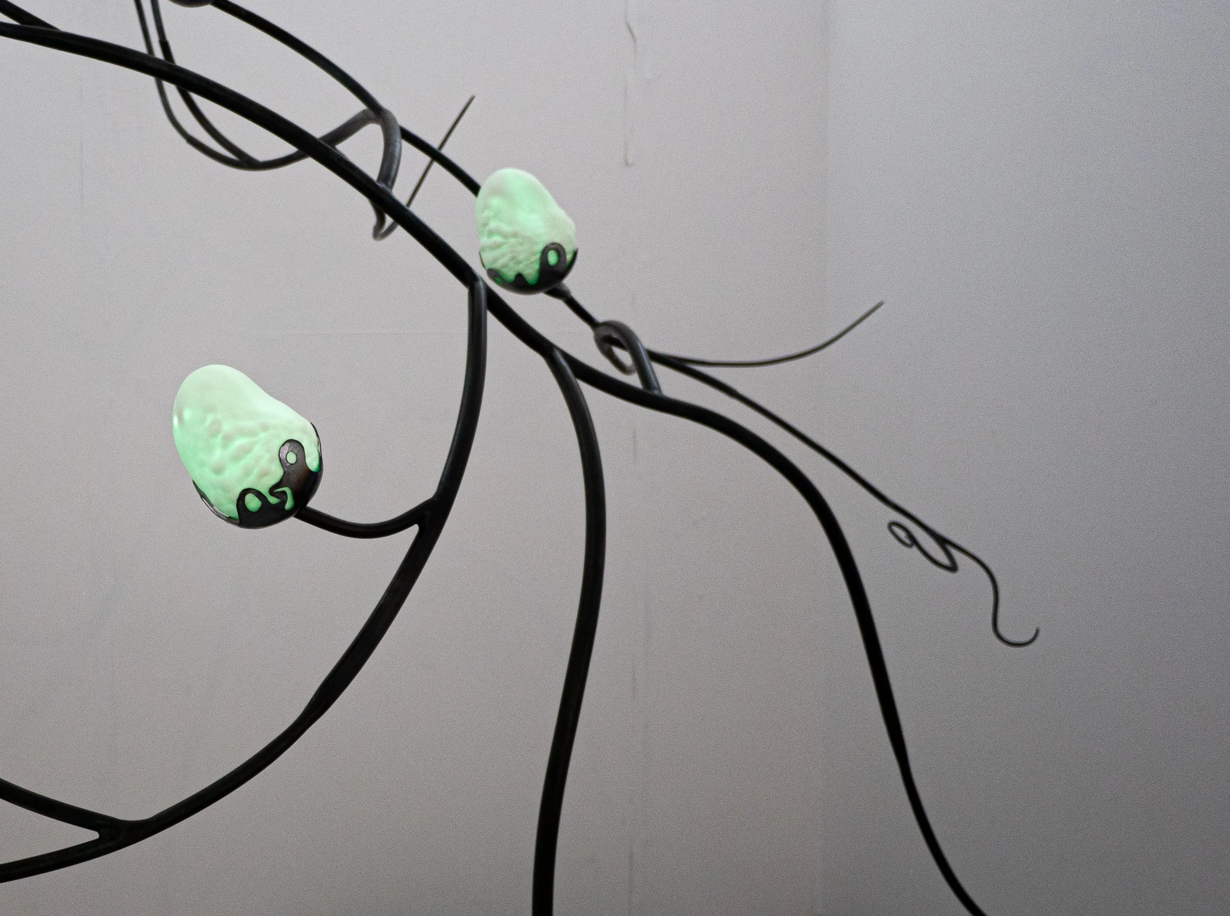 Ruth _Christman_ Lichen_Sculpture-7 (1).jpg