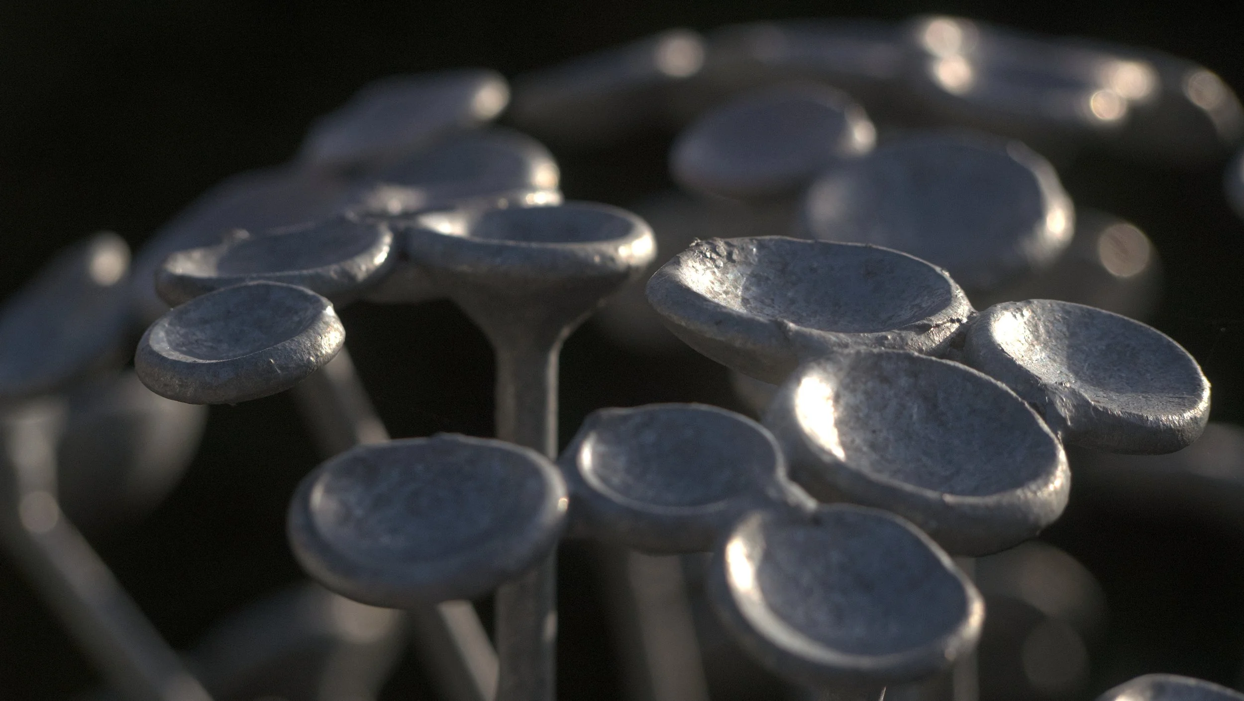 CU Flower Top cool.jpg