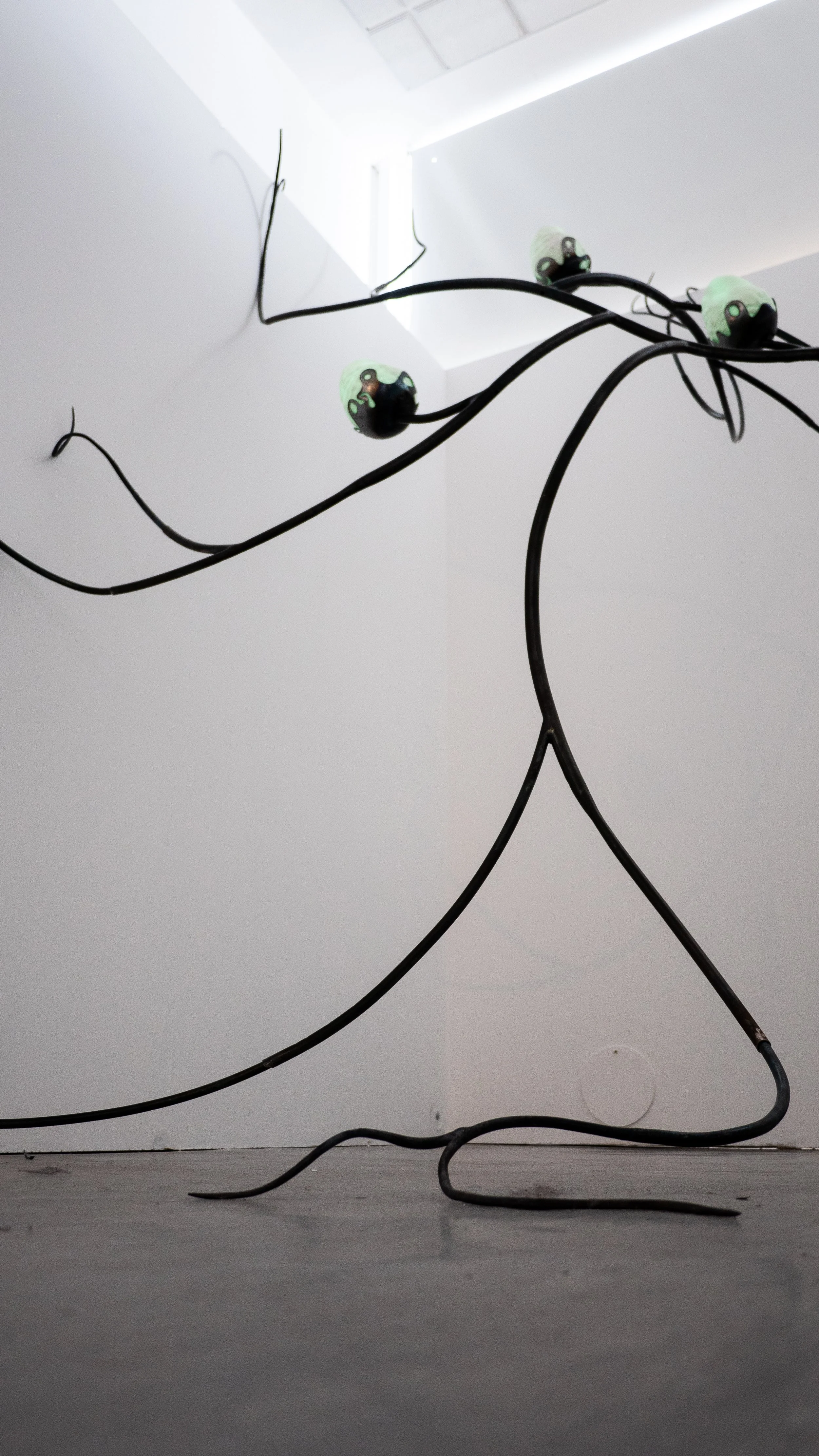 Ruth _Christman_ Lichen_Sculpture-5.jpg