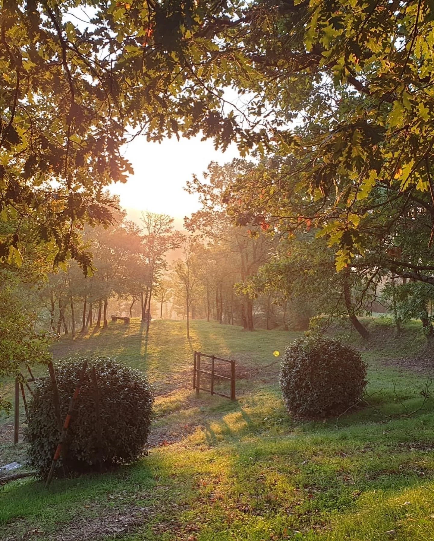 Garden View.JPG