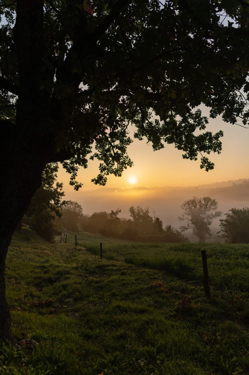Sunrise.jpg