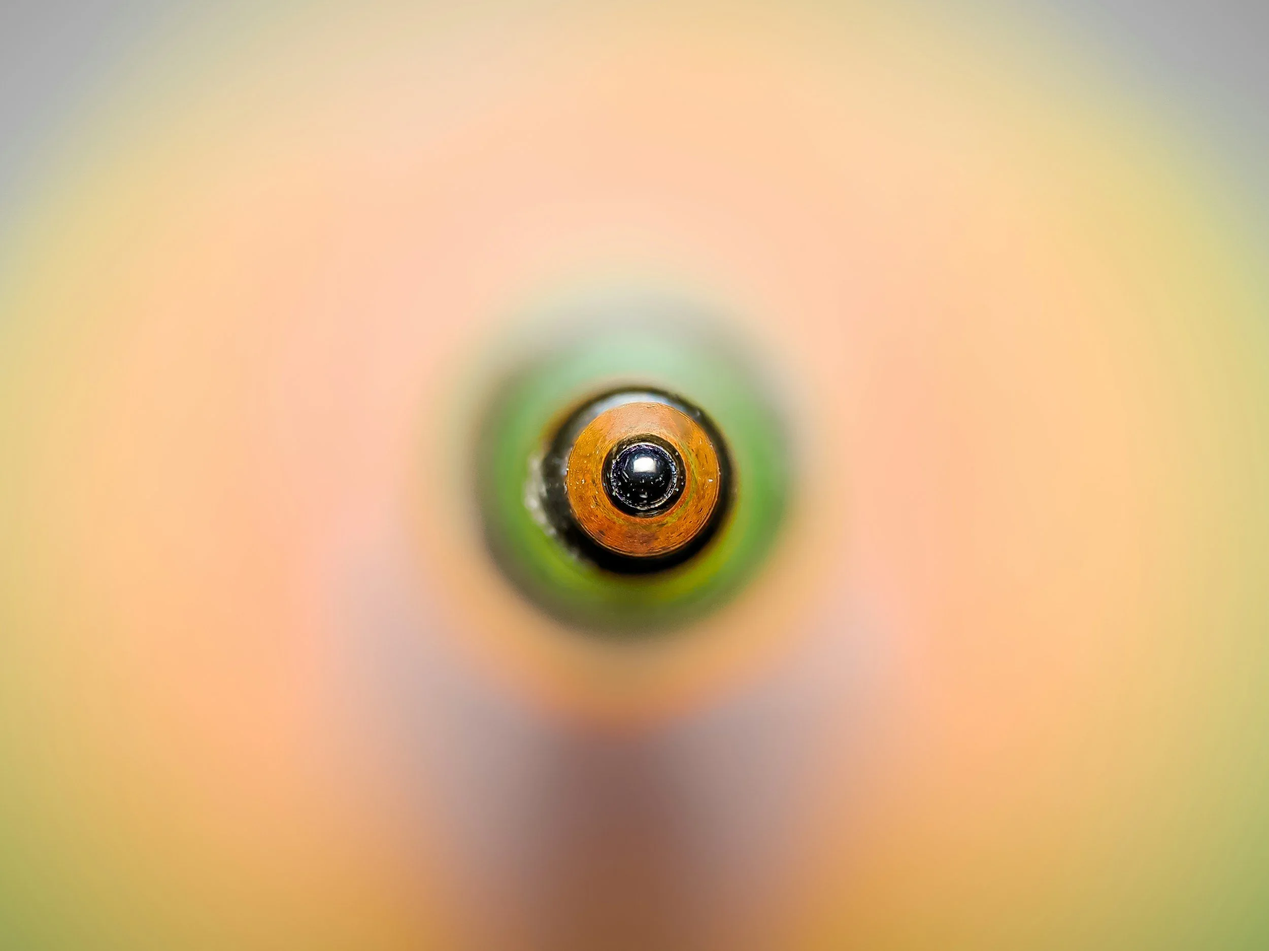 Visual Search Mastery: How to See the Game in Slow Motion