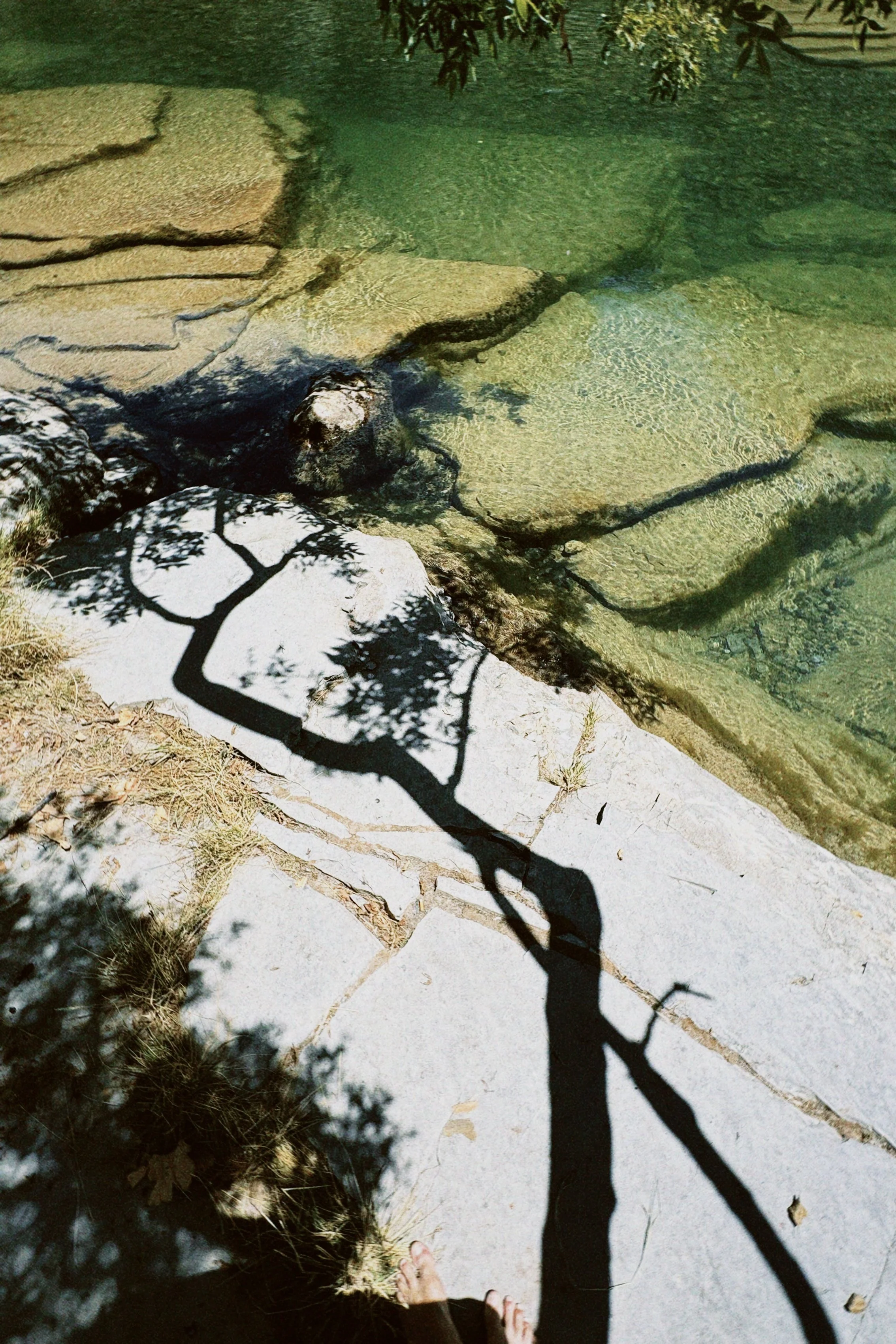 classicu 2025-12-05 112014.880.JPG