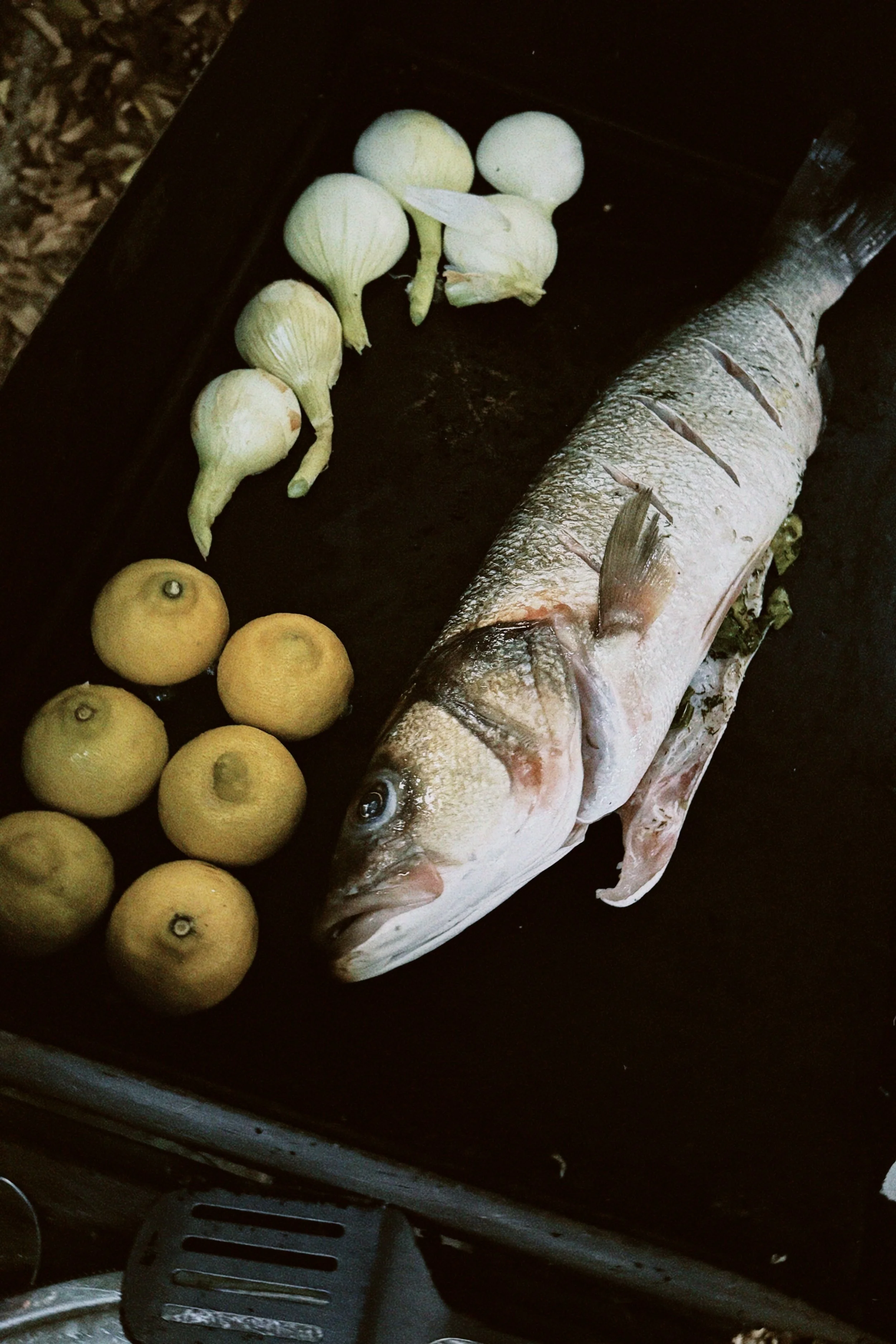 classicu 2025-12-05 112014.727.JPG