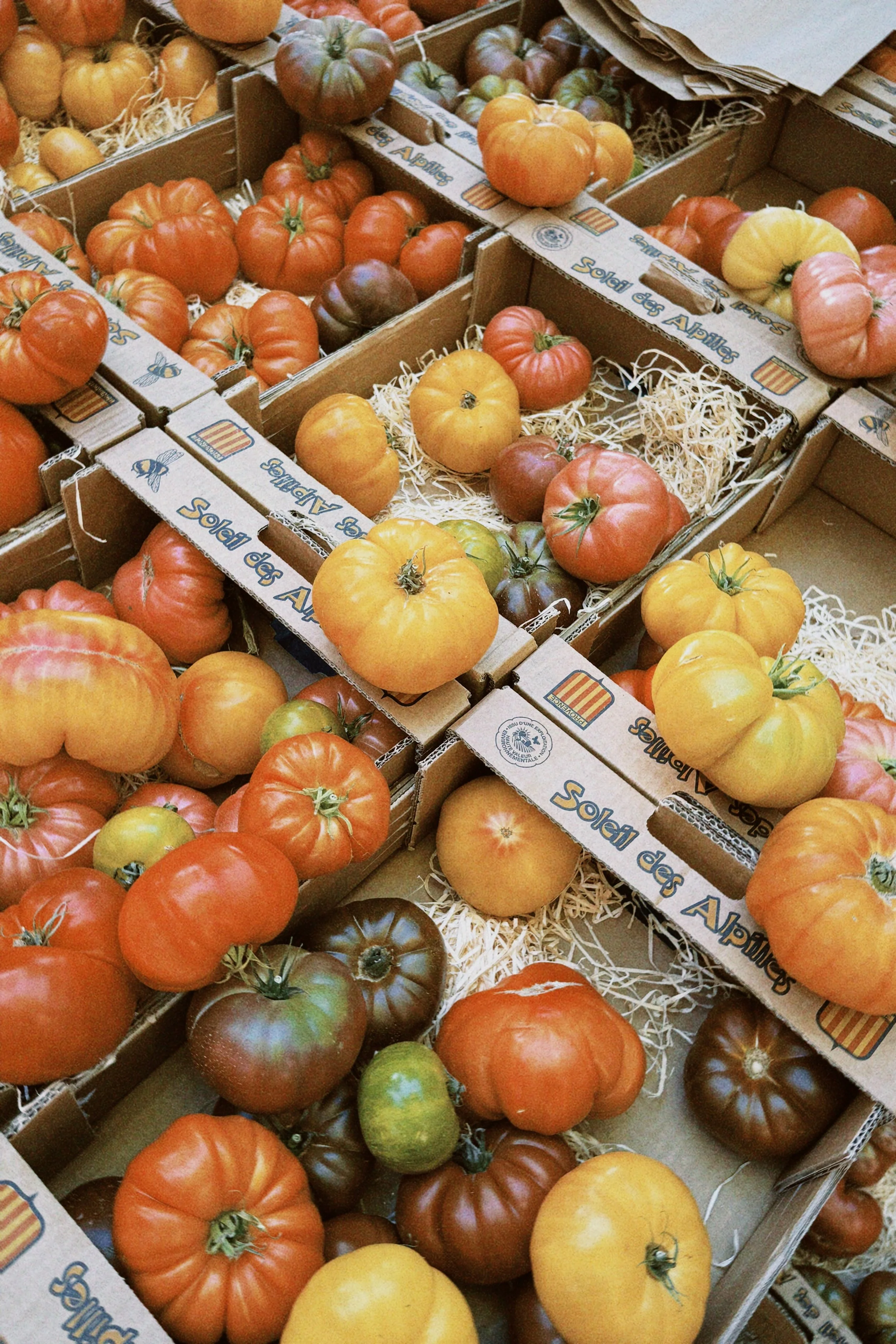 classicu 2025-12-05 112014.378.JPG