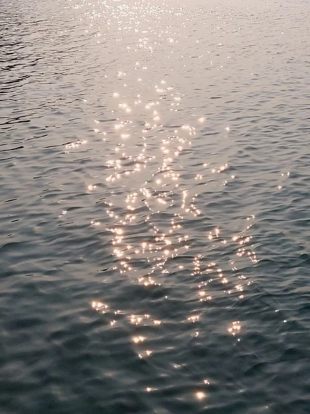 Sunlight reflecting on the surface of a calm body of water.
