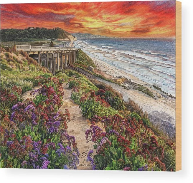 torrey-pines-colored-pencil-sketch-james-yoke.jpg
