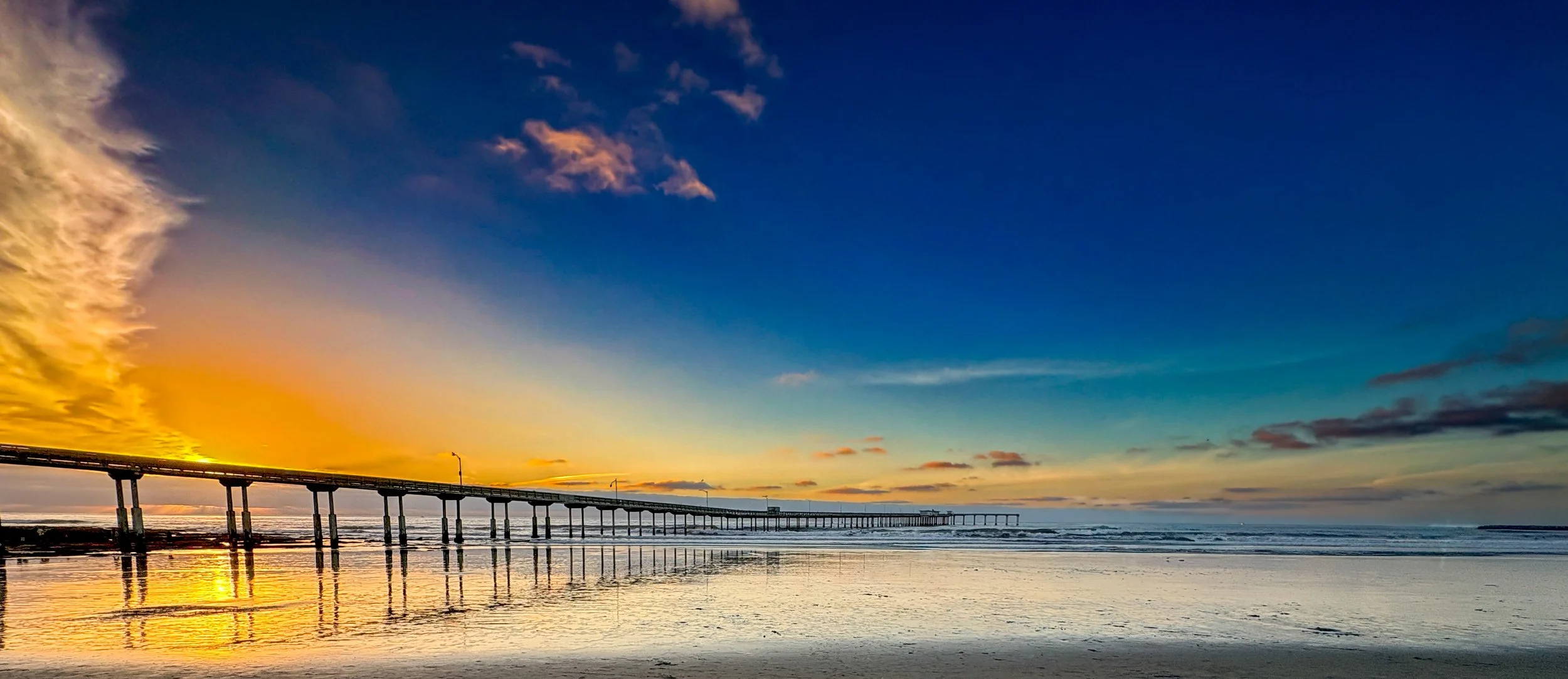 Why Nature Photography Makes the Perfect Christmas Wall Art