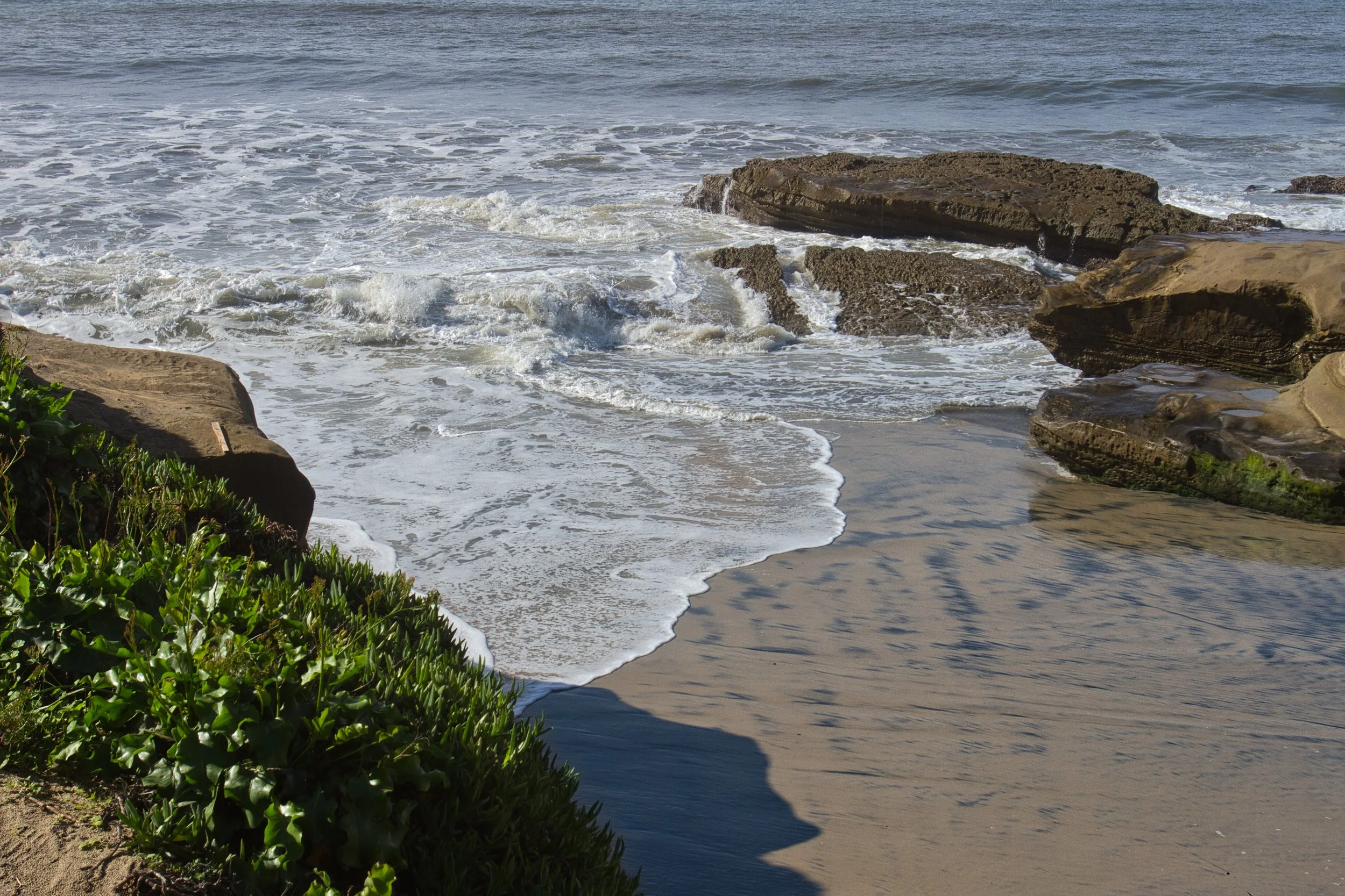 Santa Cruz Cliffs, San Diego