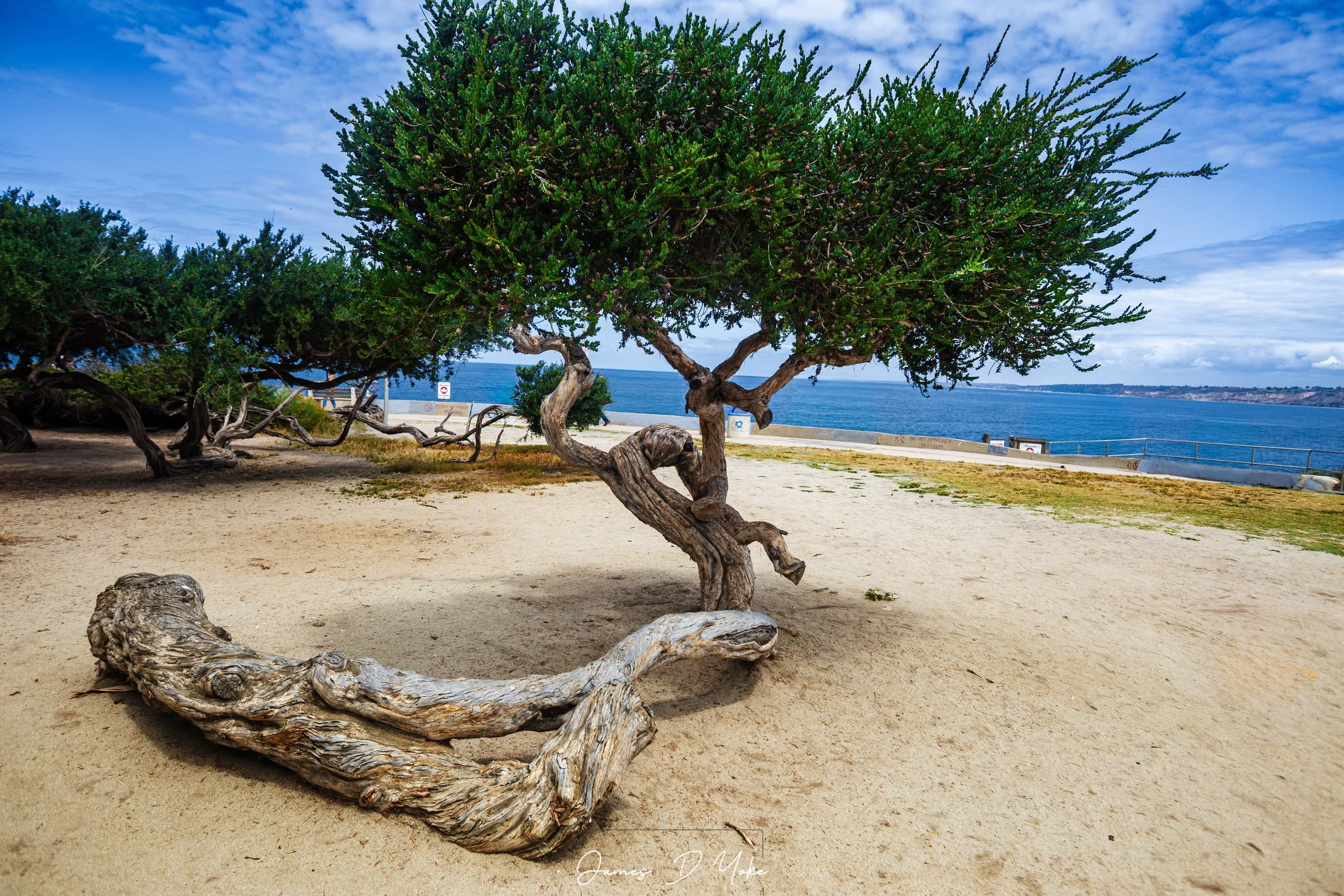 Ellen Browning Park, La Jolla, California