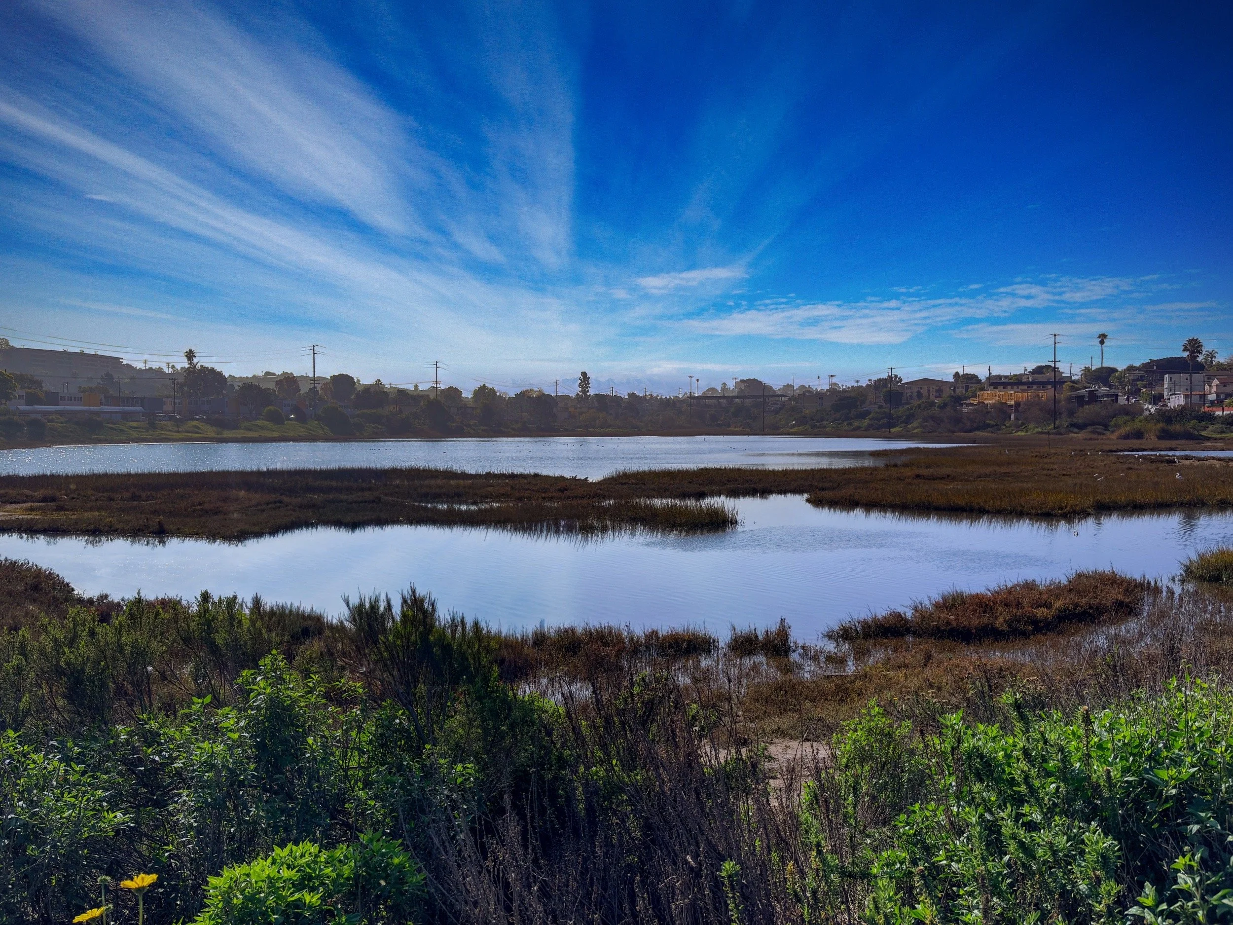 Famosa Slough Wetlands Preserve – Wide Angle Landscape Photography