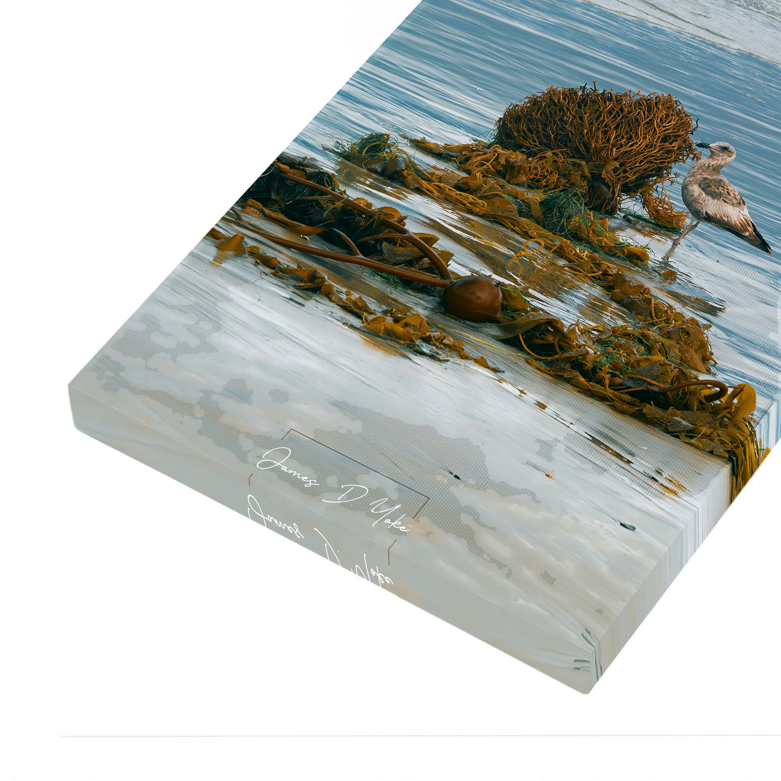 1 - ratio 2.3 -o.jpg