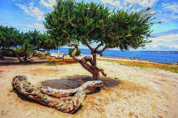 oil-painting-of-la-jolla-tree-james-yoke.jpg