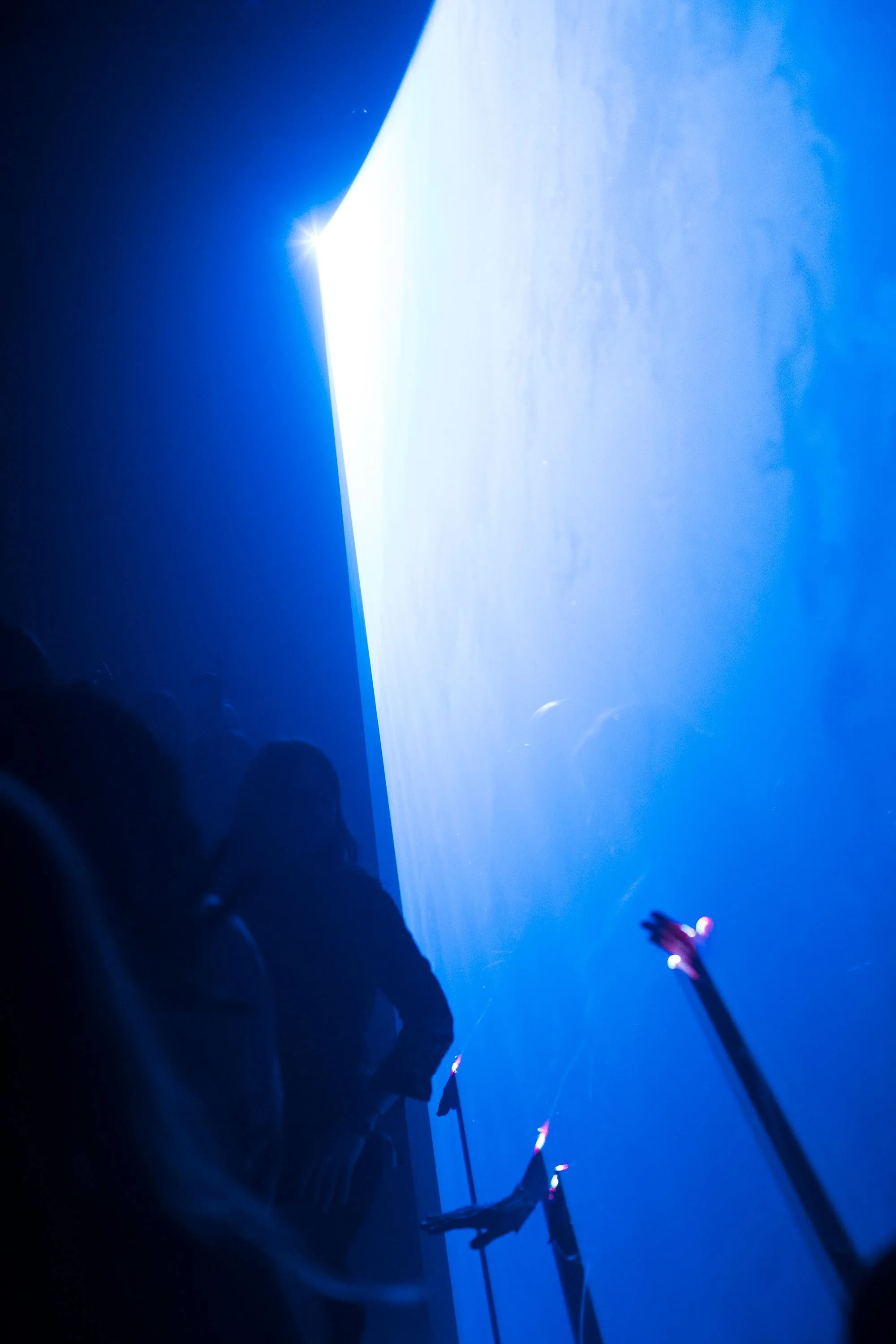 2128_TRO_HERMITAGE_2022_01.jpg