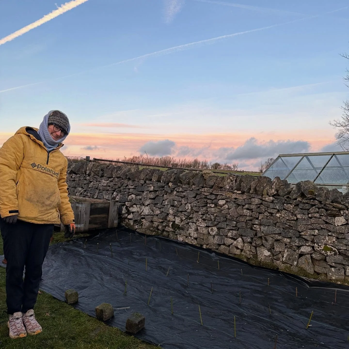 New year new willow patch. 

Spent New Years Day putting in our first willow patch, planted densely to encourage upright whips. Hopefully, they&rsquo;ll be ready for cutting in time to make Christmas wreaths this year. Different varieties for differe