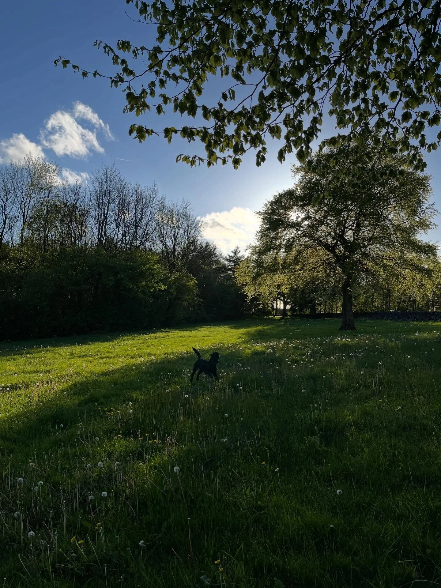 Rained off from field work this afternoon. January is certainly feeling grey and soggy, we&rsquo;ve had fog over the moor for what feels like days on end now. Taking the opportunity to look through some spring pictures and remind ourselves it won&rsq