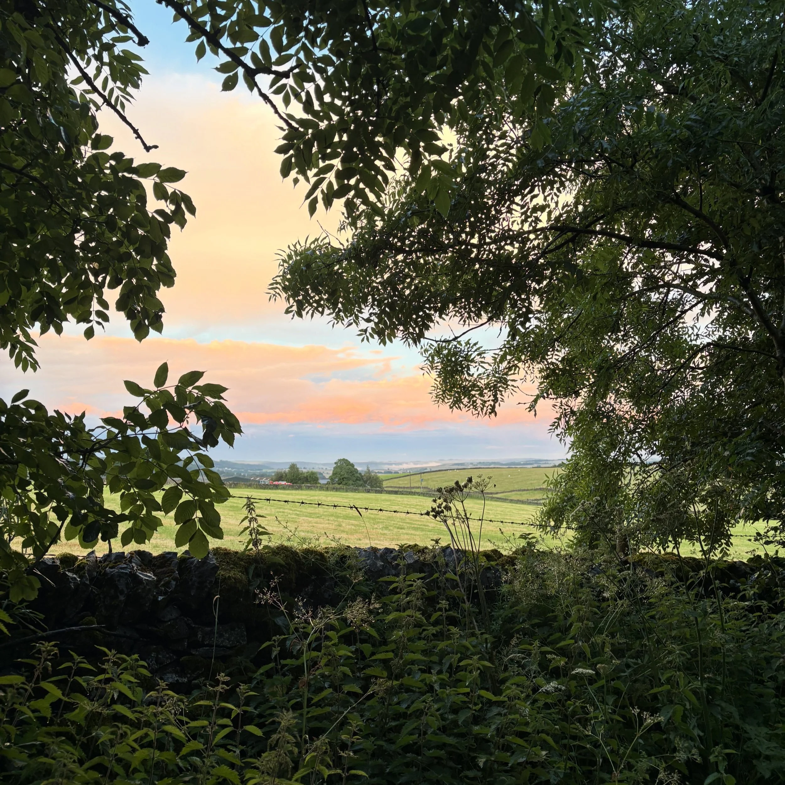 Evening skies this week