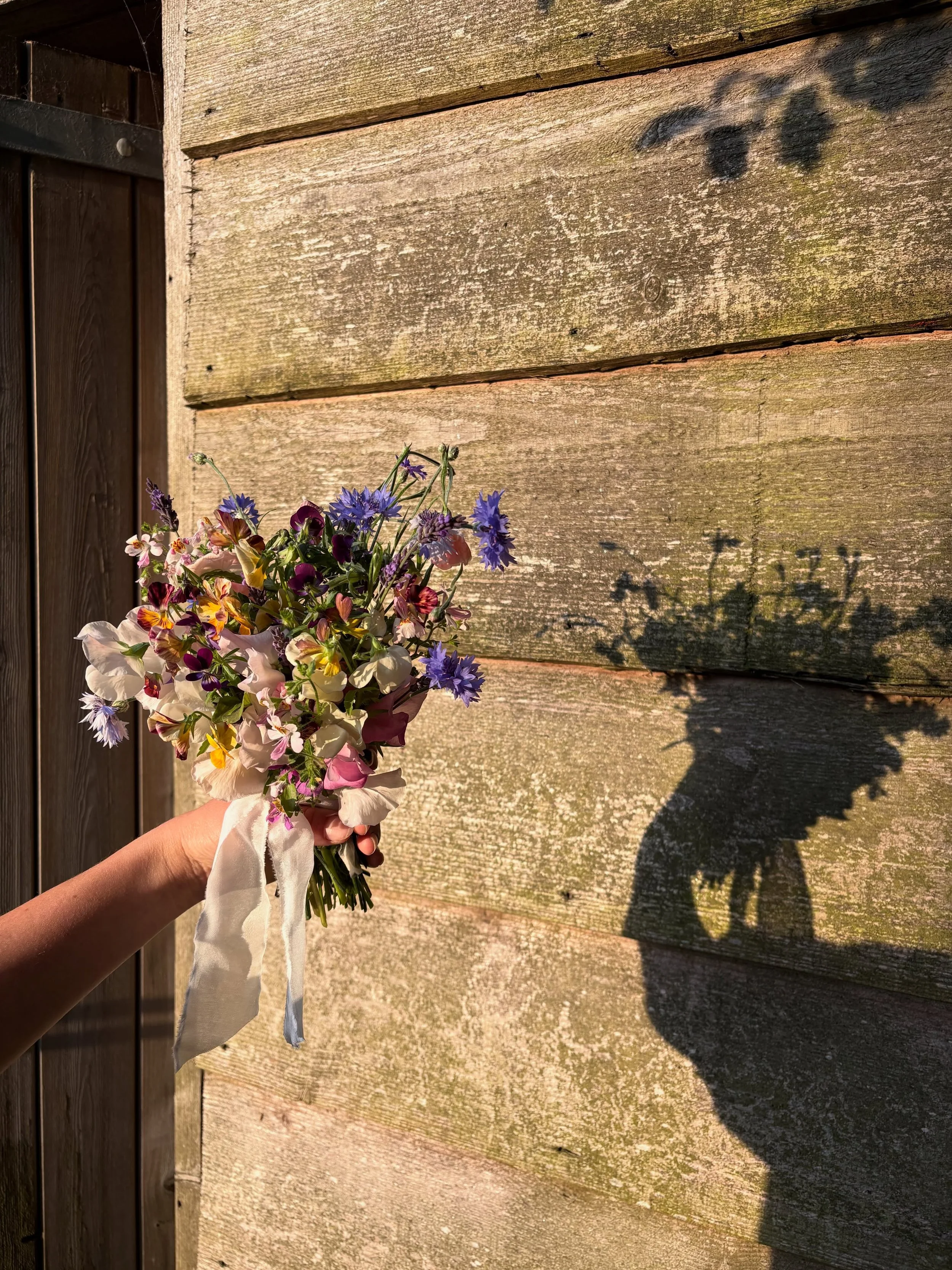 Chasing the last of the evening sun 🌞 

Making time to appreciate the miniatures on the farm this weekend with sweet peas, butterfly flowers &amp; viola &lsquo;brush strokes&rsquo; gathered into a pretty posy