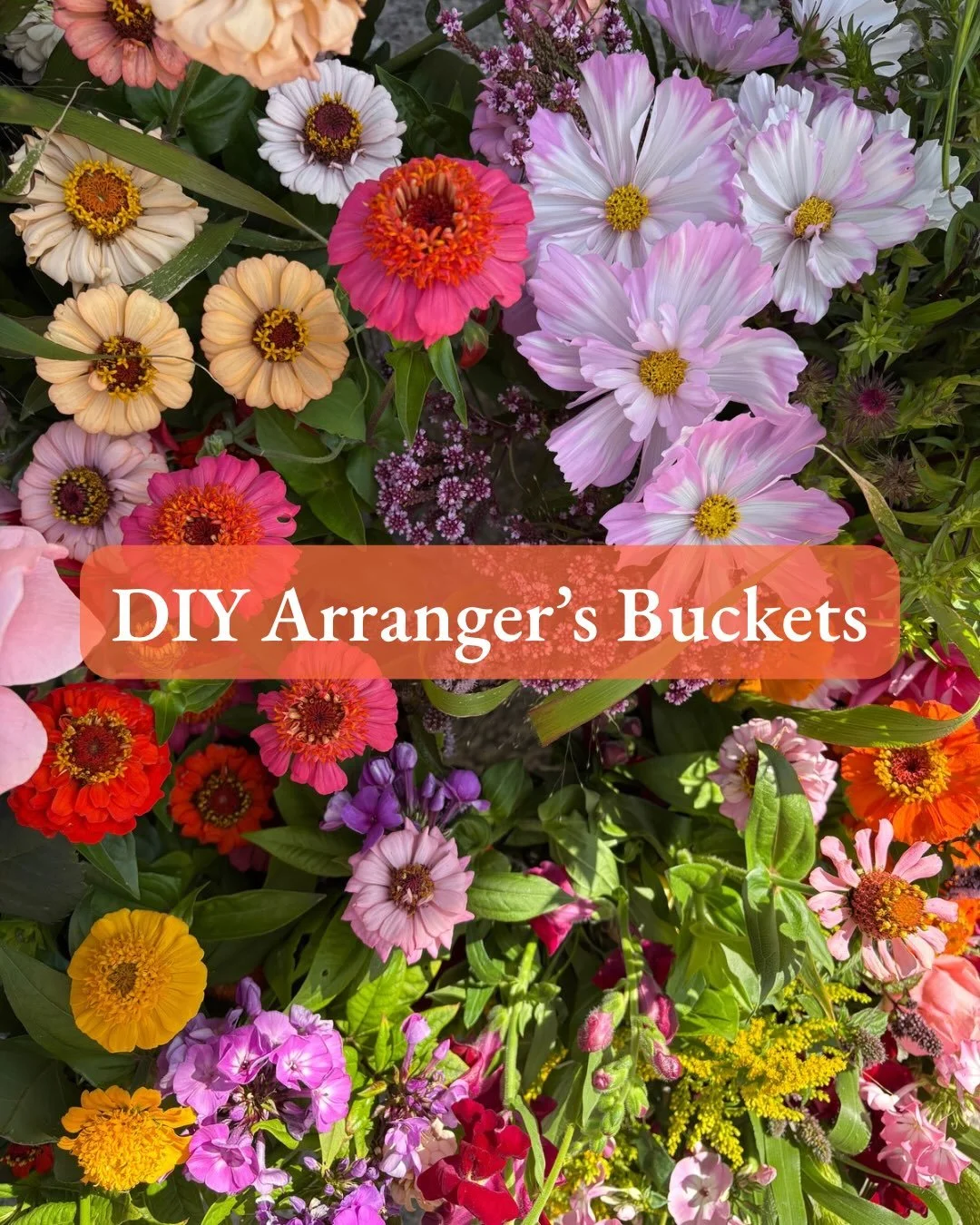 Did you know we offer DIY buckets of flowers for you to create your own beautiful arrangements for your event? We love to help you achieve your floral dream theme - get in touch to find out more.