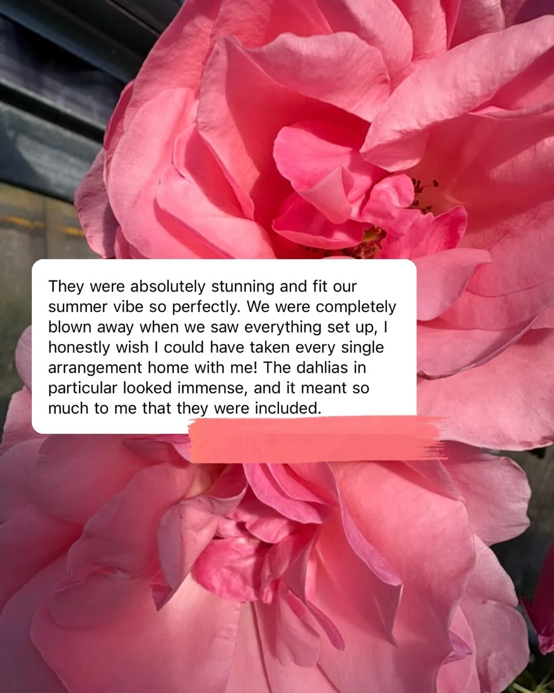 A freshly picked bunch of our favourite emails. It makes us so happy to get your feedback messages, especially when everything&rsquo;s coming up roses. Get in touch to order your own bespoke bouquets!