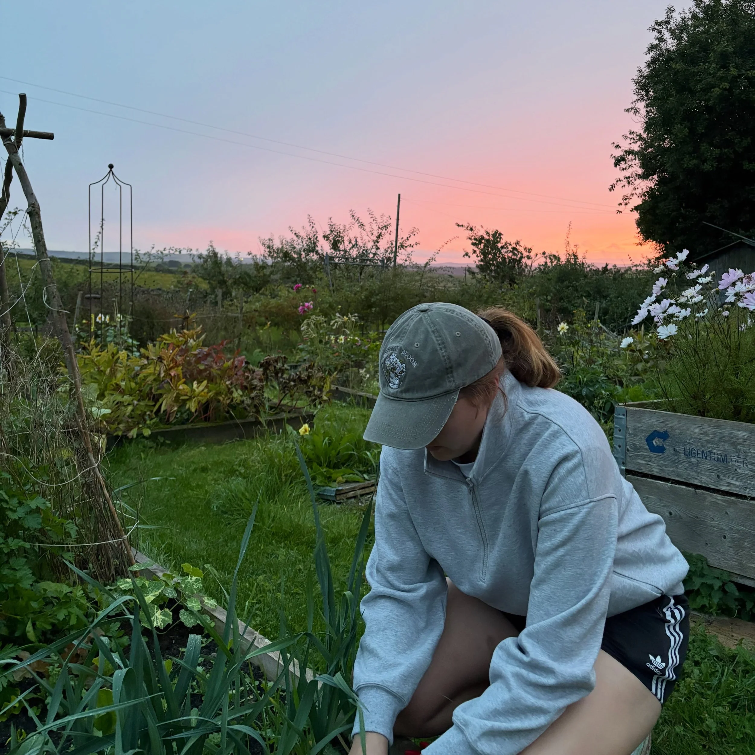 1 week in early autumn. 

Cheye modelling the merch. Dreamy skies. Bountiful buckets. Field work ft my fave tool brought back from the US. Perfect roses.