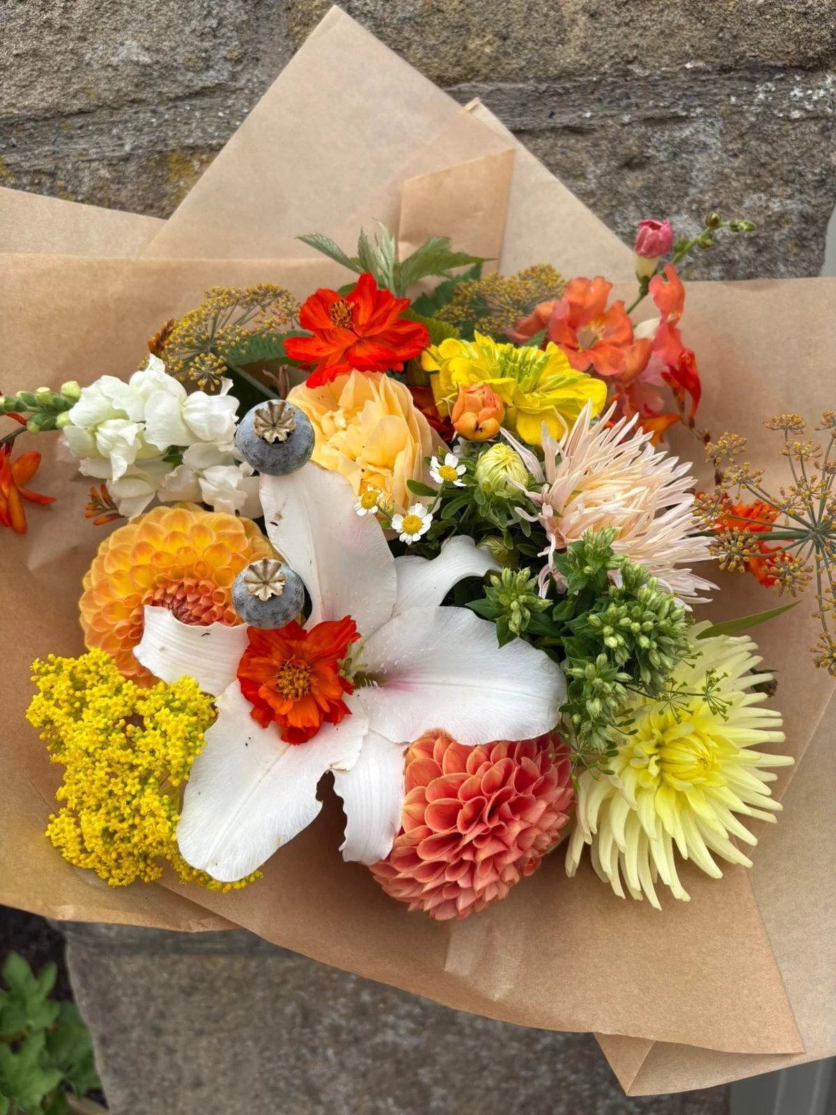 Seasonal Highlights Subscription