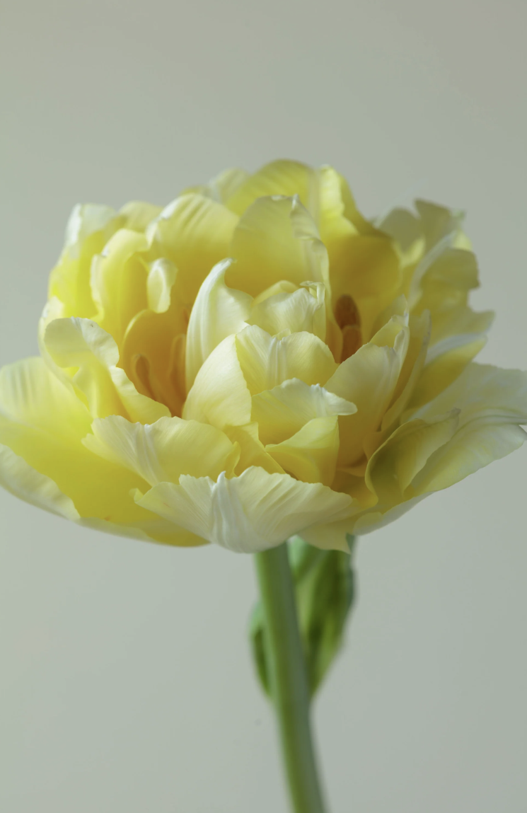 Screenshot 2026-03-02 at 10.40.14.png