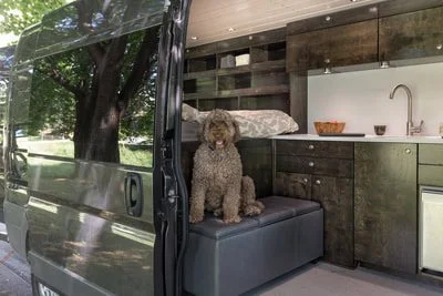 Dog sitting on a bench inside a camper van with a kitchen in the background.