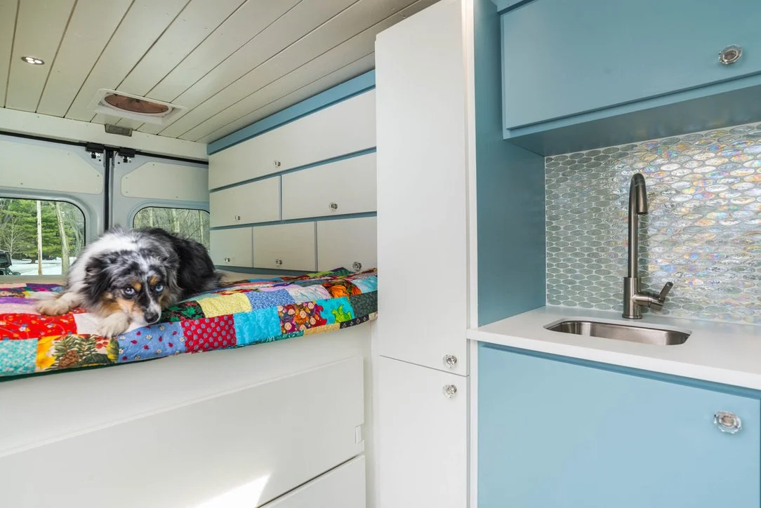A dog lying on a colorful patchwork quilted bed inside a tiny home with a small kitchen area featuring blue cabinets and a stainless steel sink.