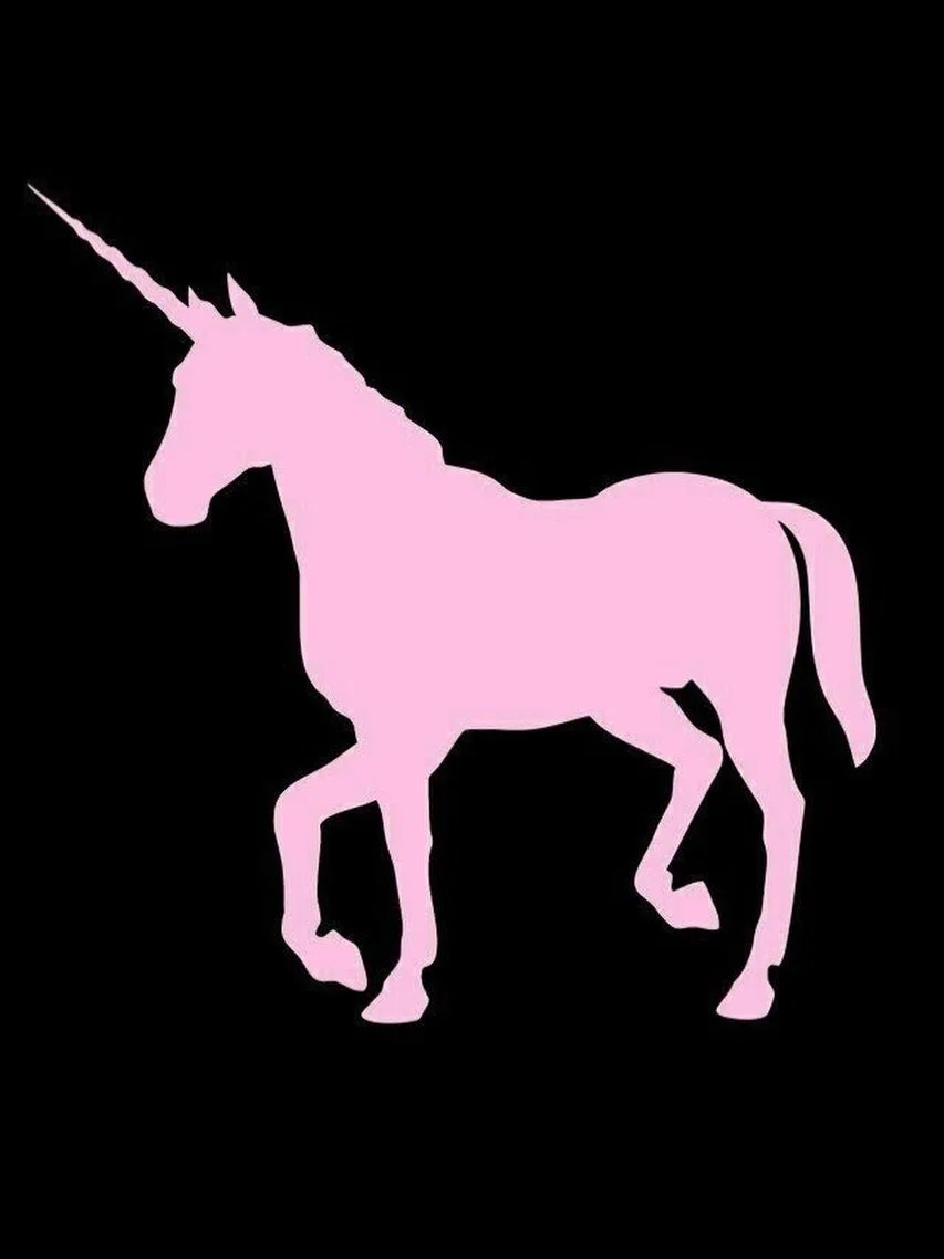 we believe in unicorns #prettyunknown #brand #aesthetic #moodboard #pinterestaesthetic