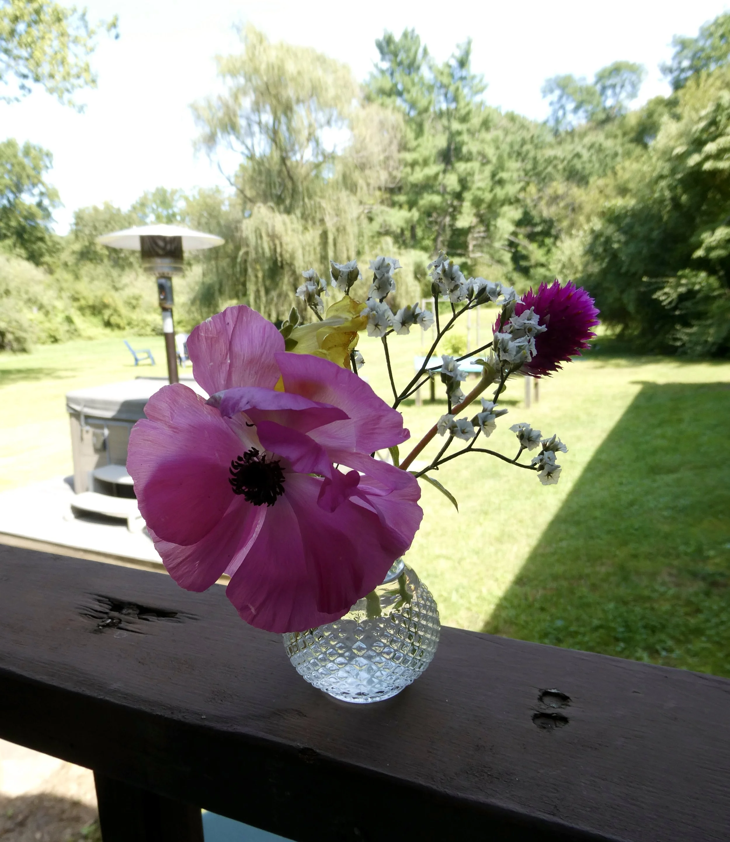 P1055725.jpg