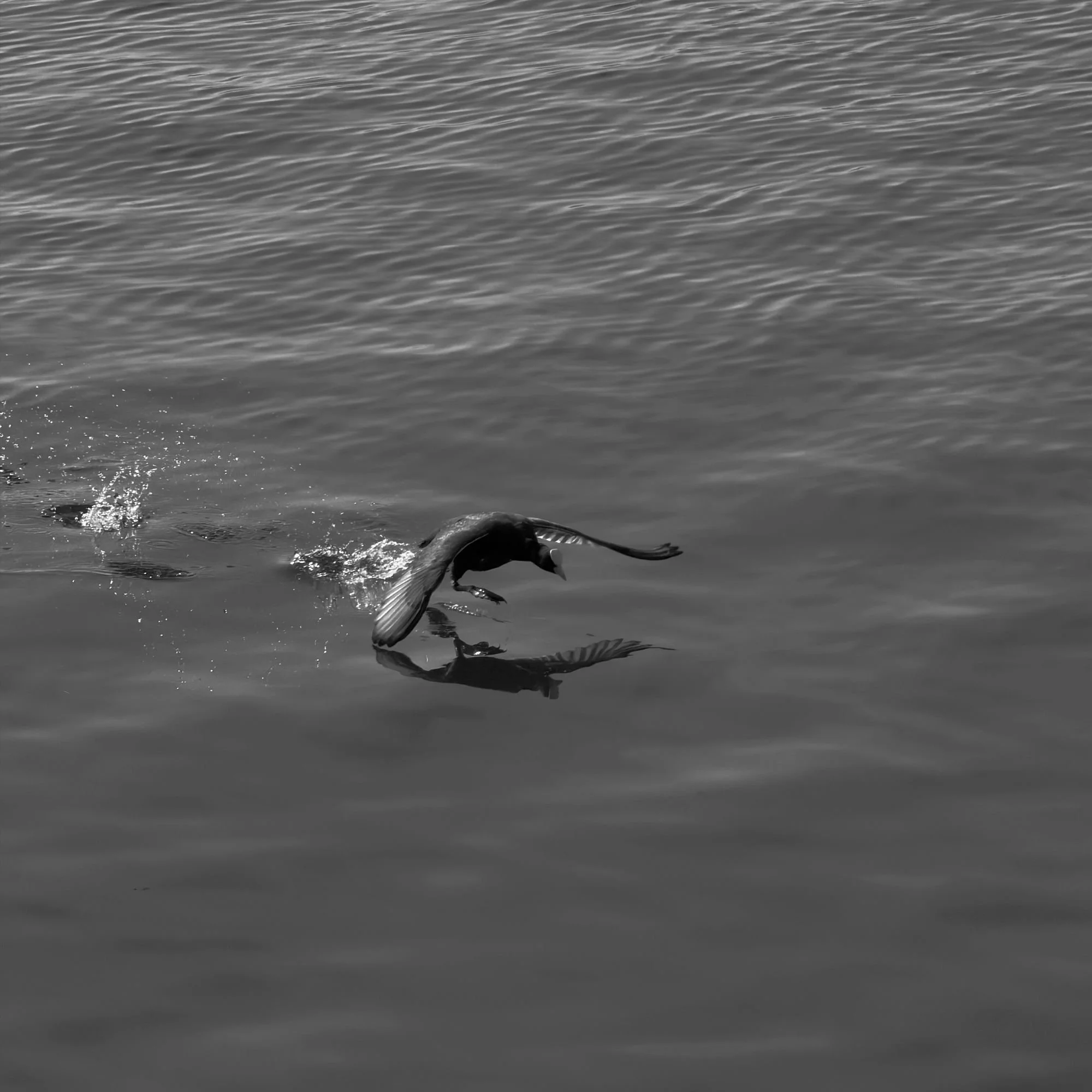 THE CROSSING, A BREATH ABOVE