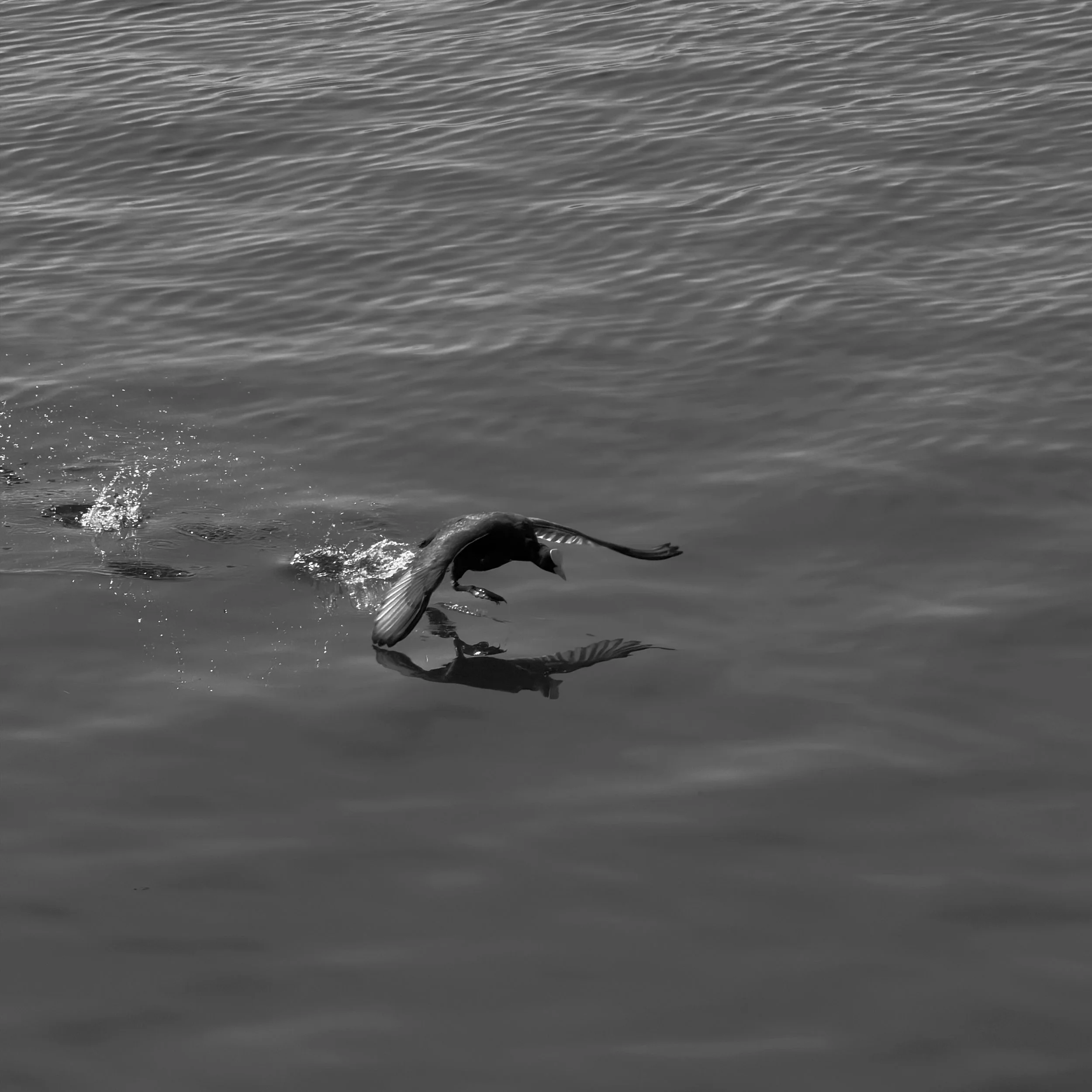 THE CROSSING, A BREATH ABOVE